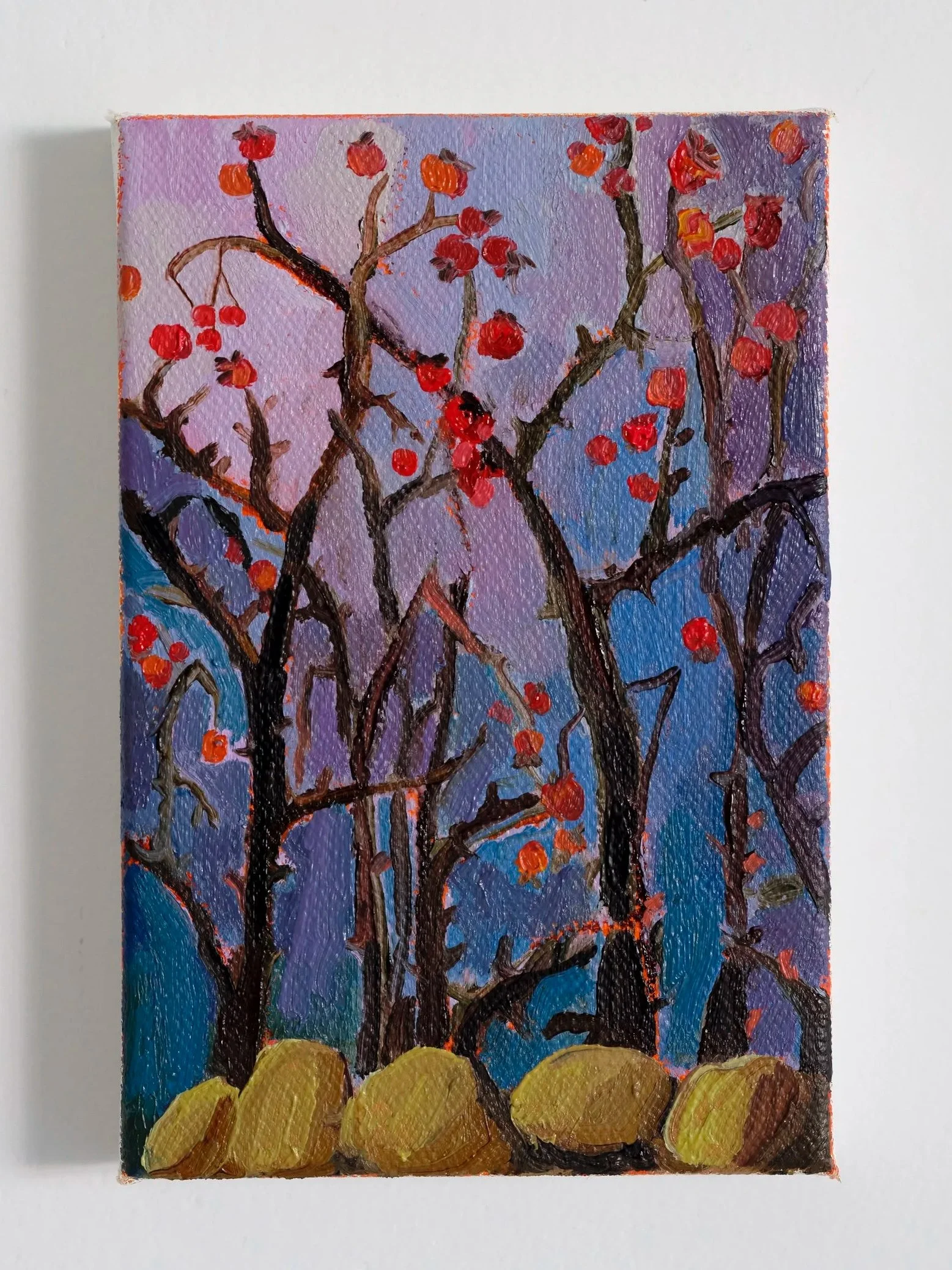 Rosehips in Miniature