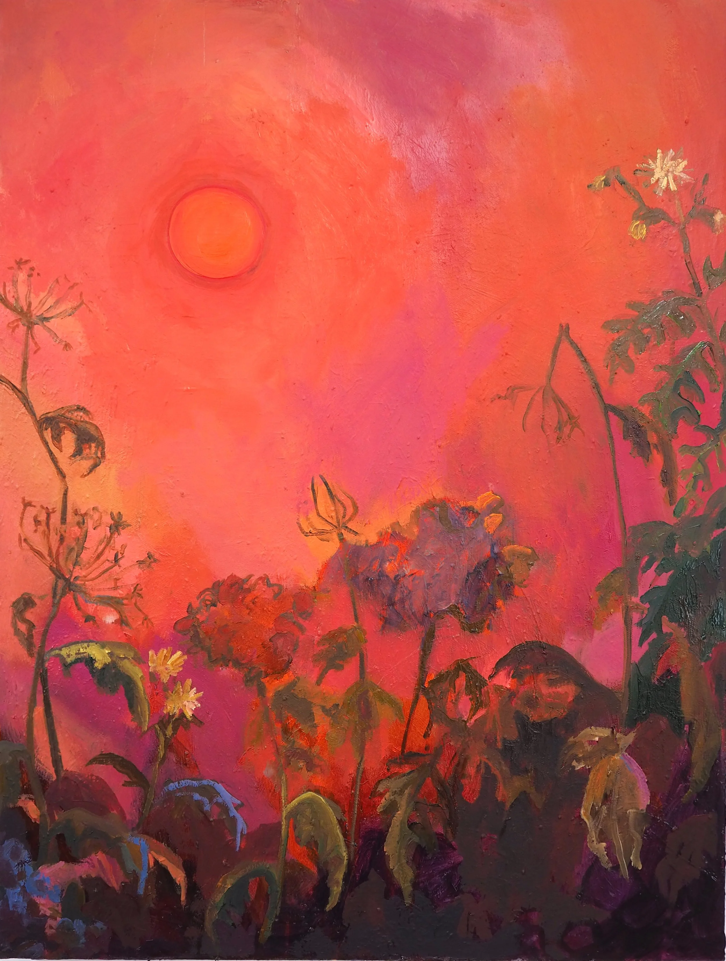 Umbellifer Husks Against a Fire Sky