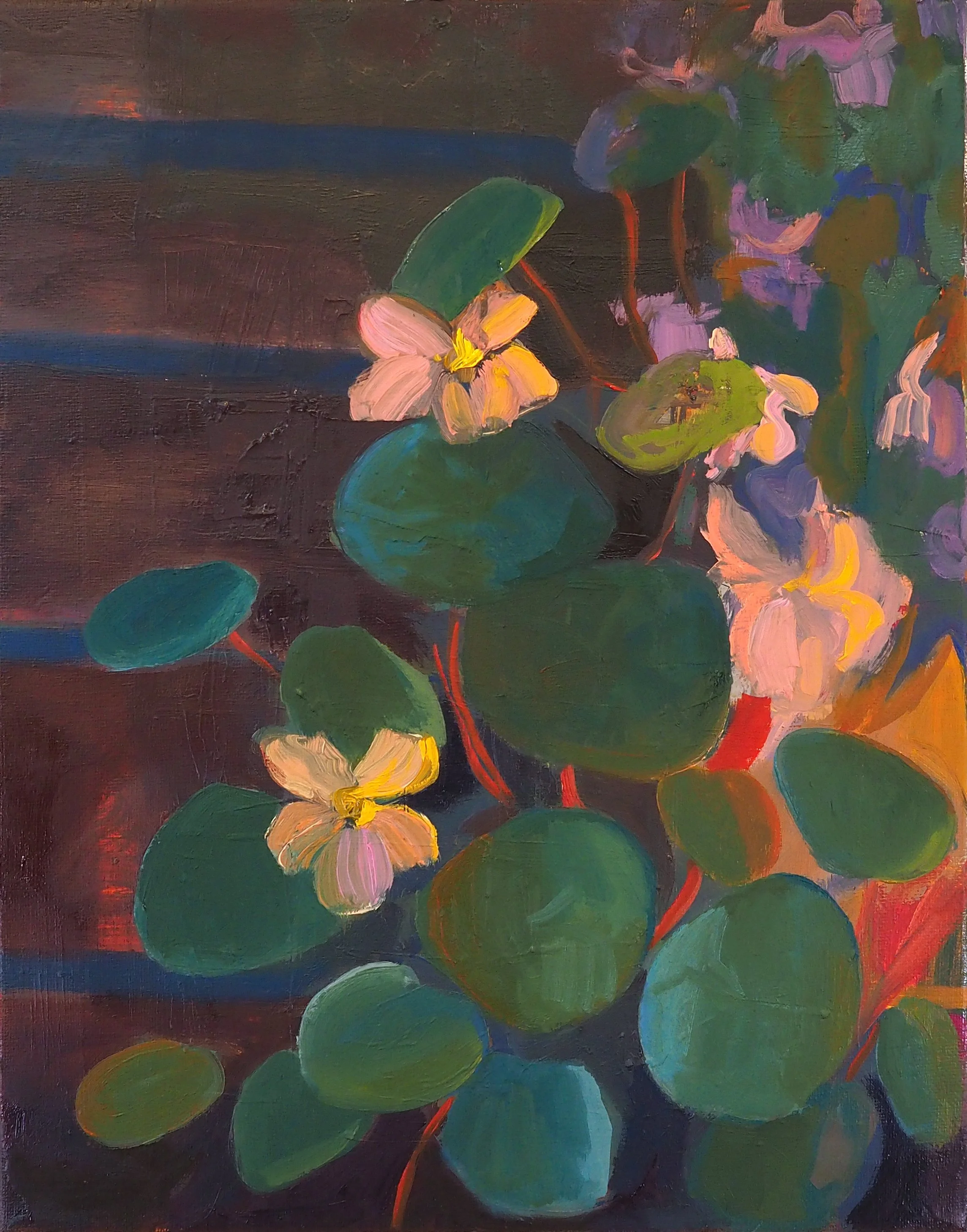 Nasturtiums by Night