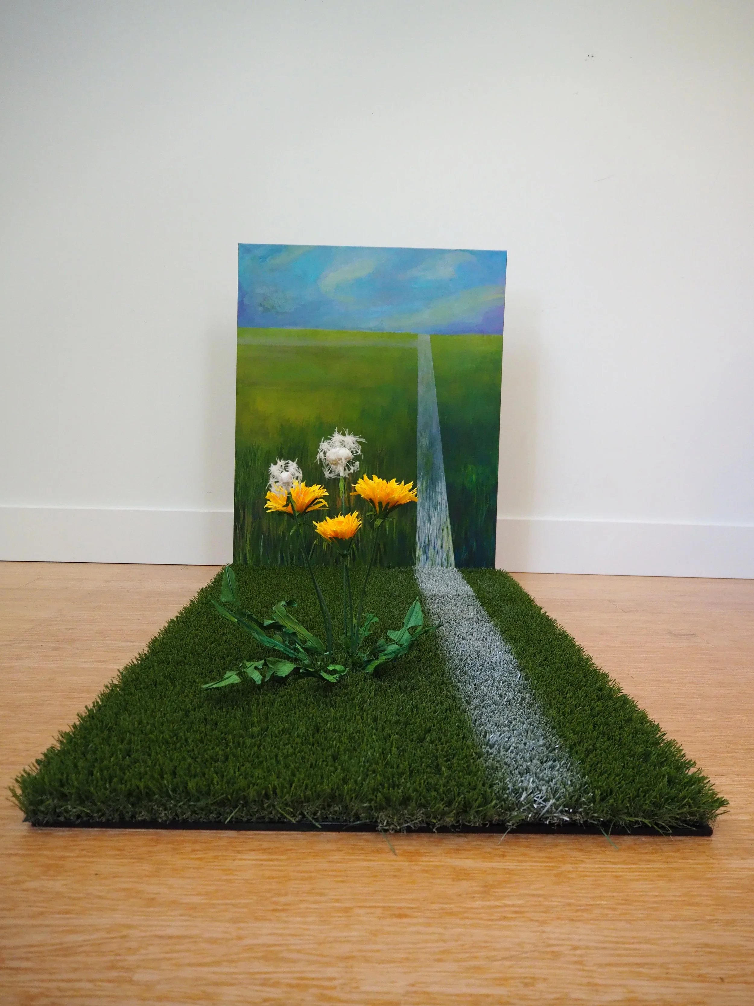 Field of Play