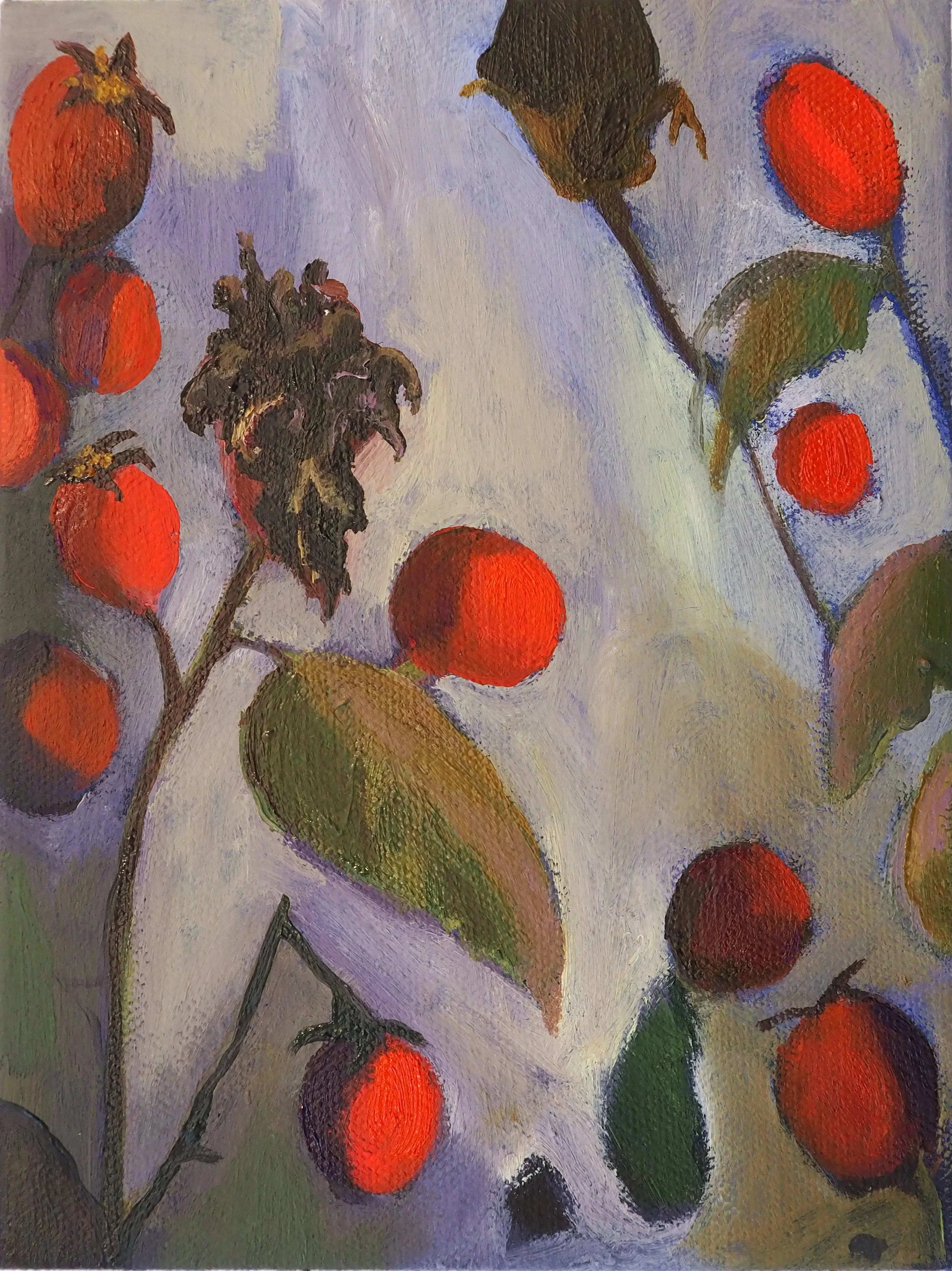 Scarlet Rose Hips