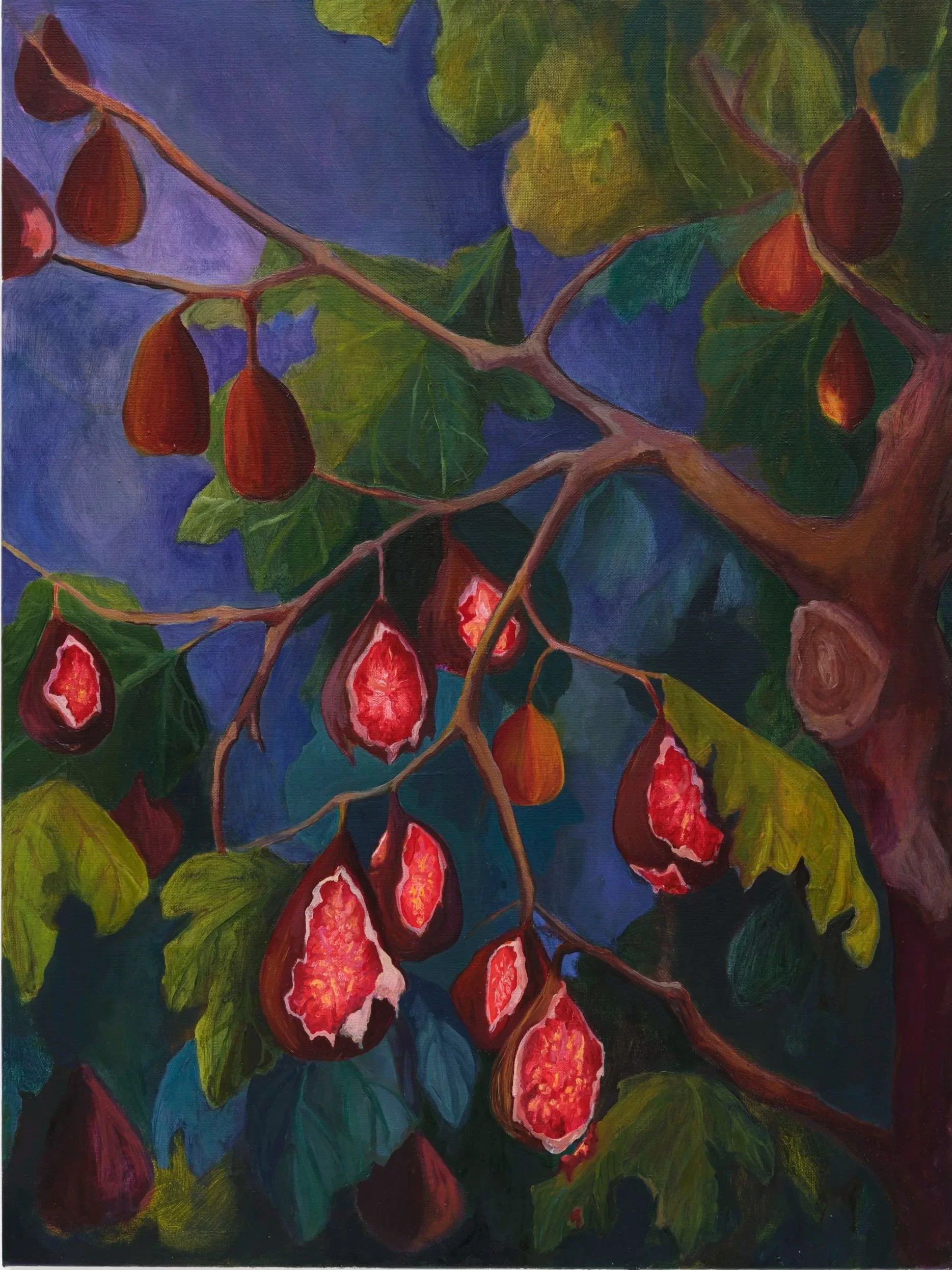 Wounded Figs at Night