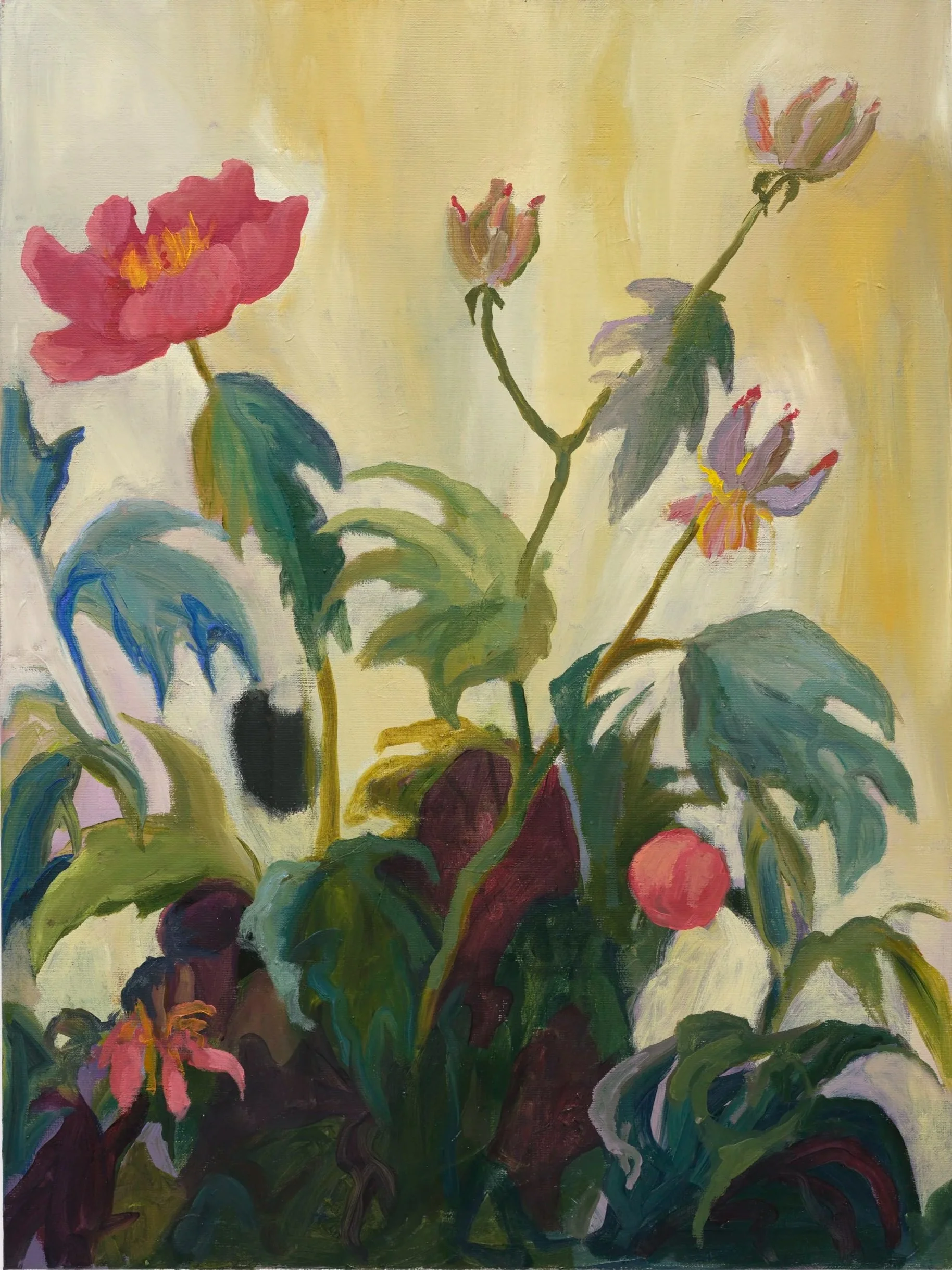 Peonies Reaching