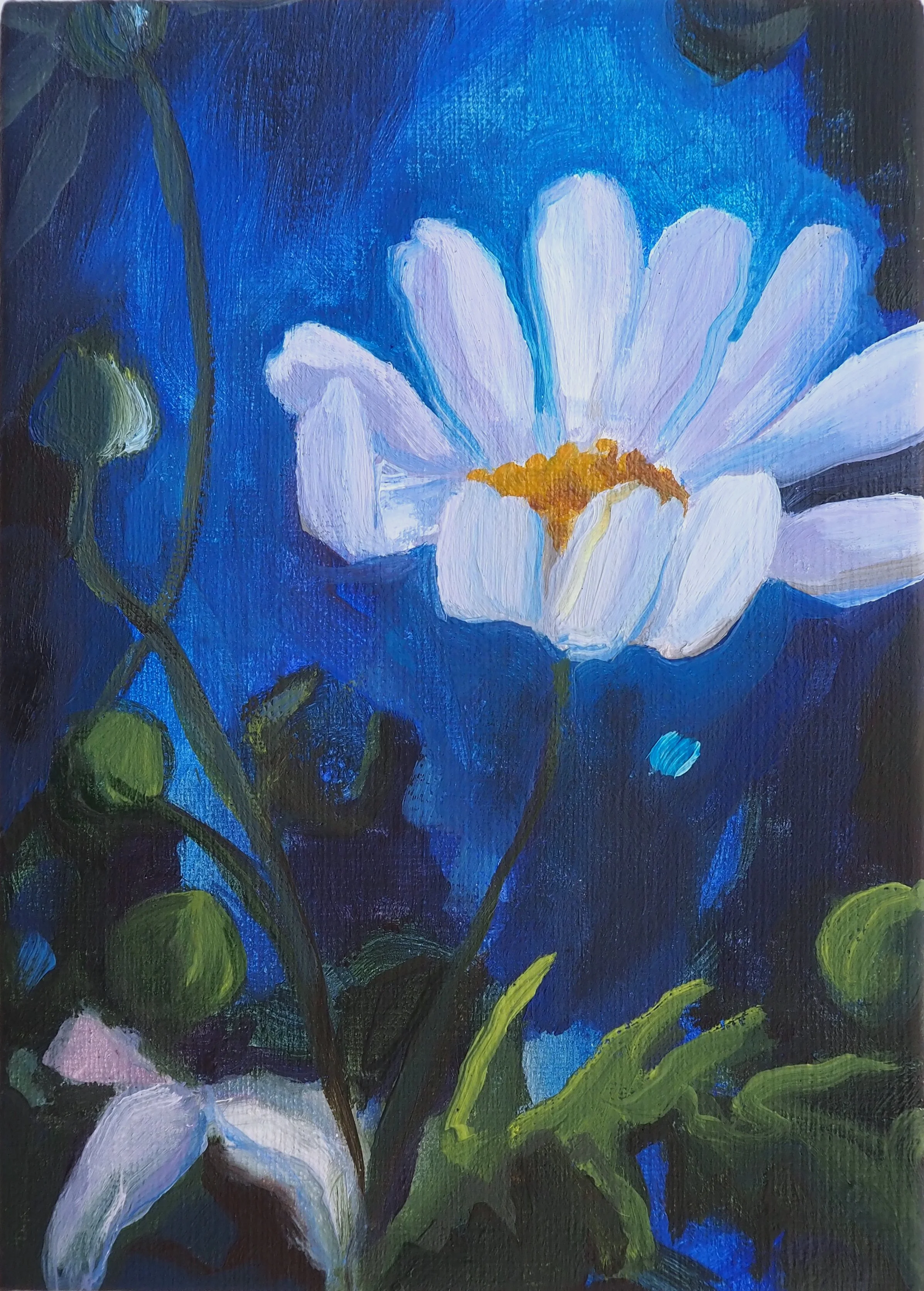 blue daisy crop.jpg