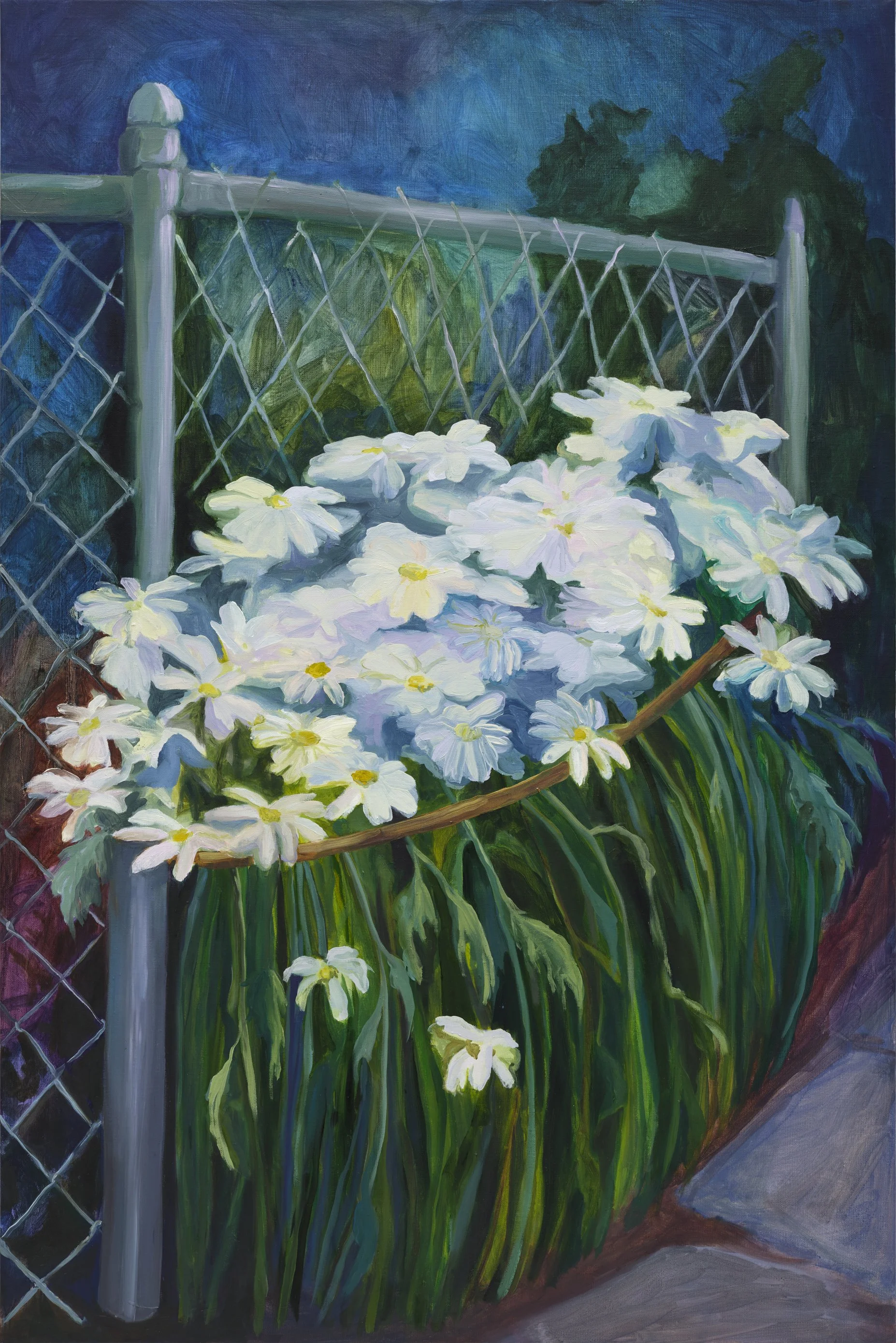 crop Restrained Daisies (Web).jpg