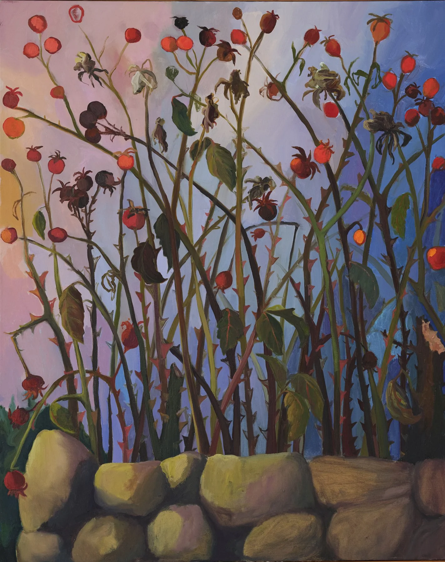 rose hips.JPG