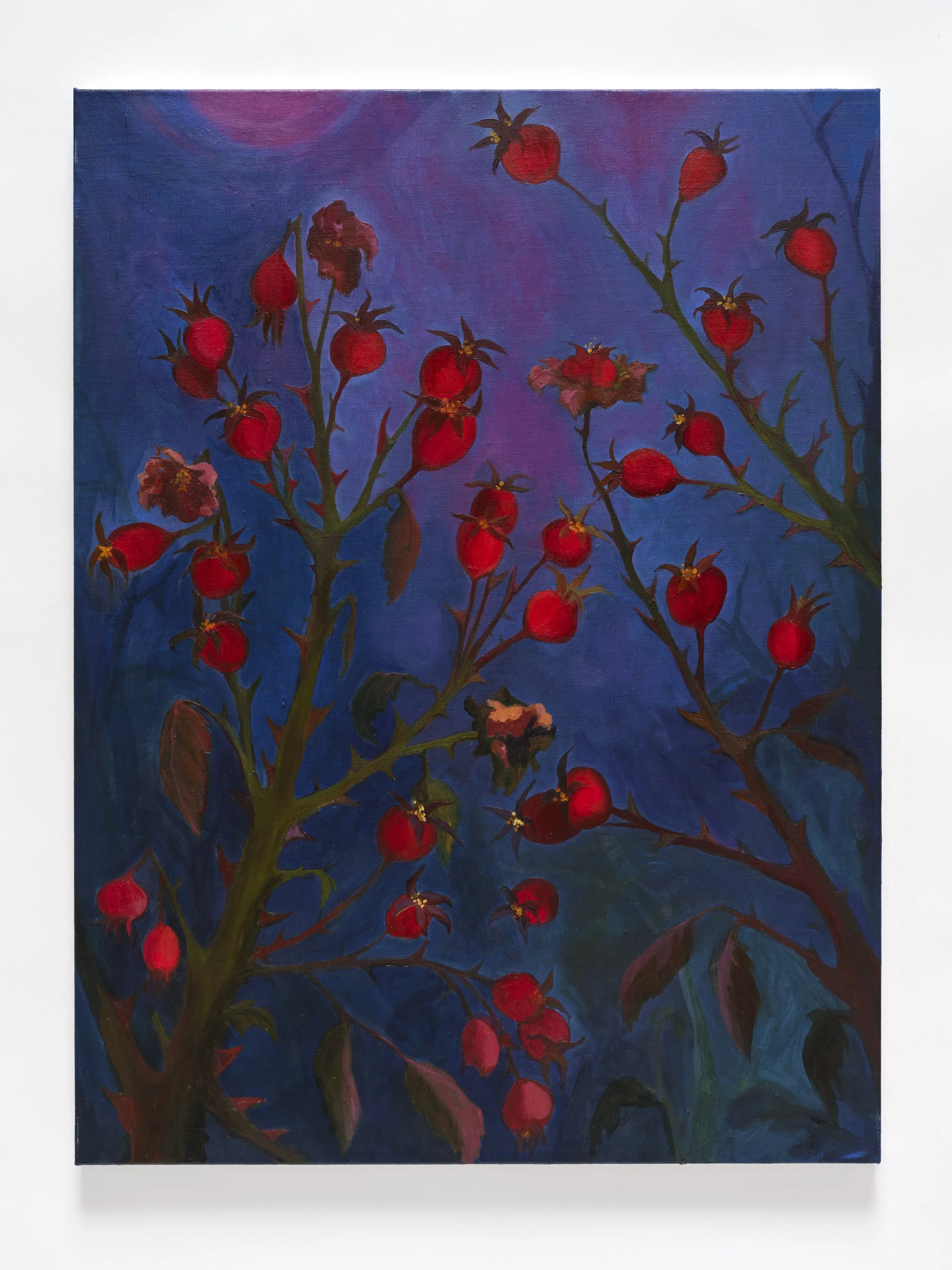 Rosehips at Night (Web).jpg