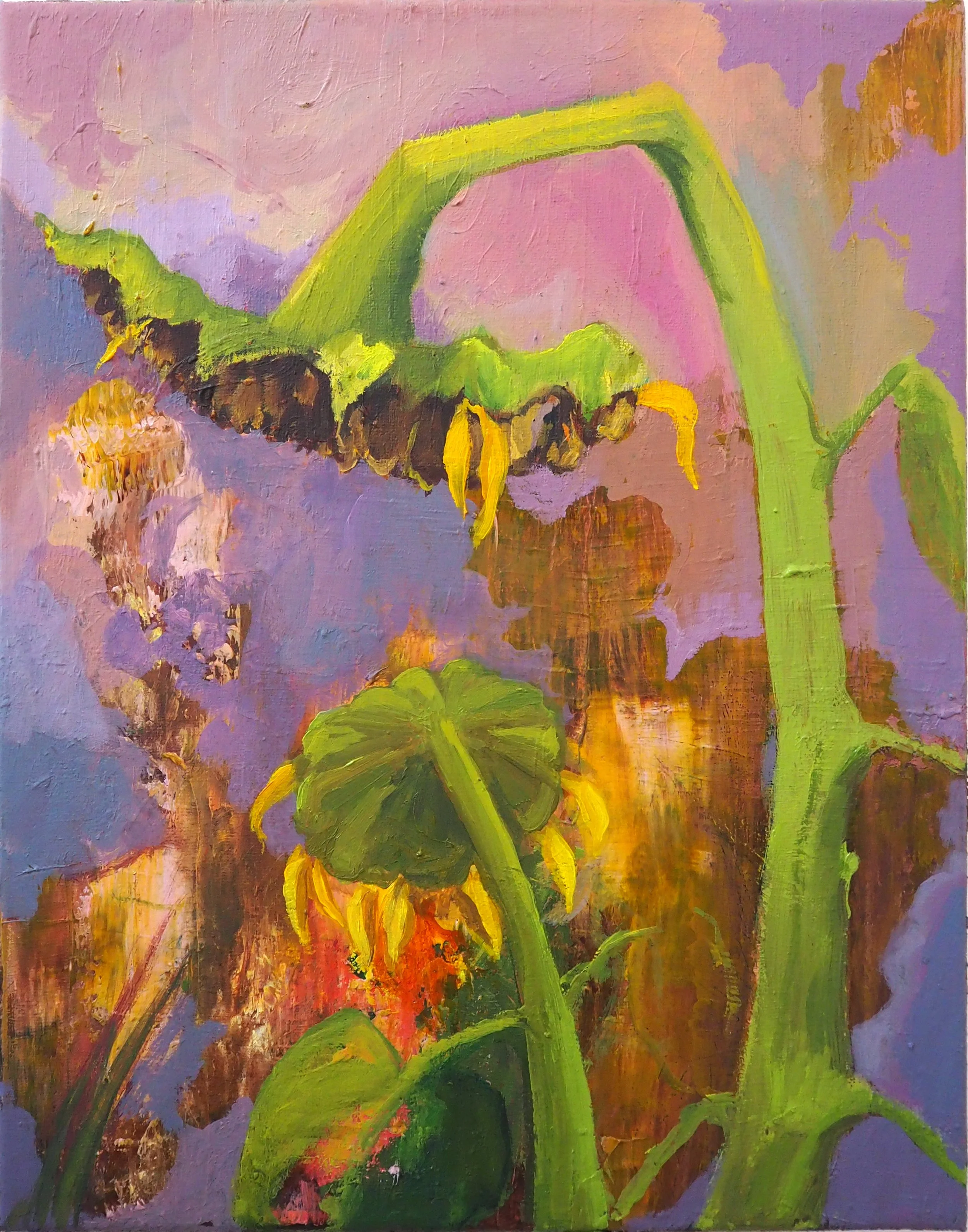 After Heliotropism.jpg