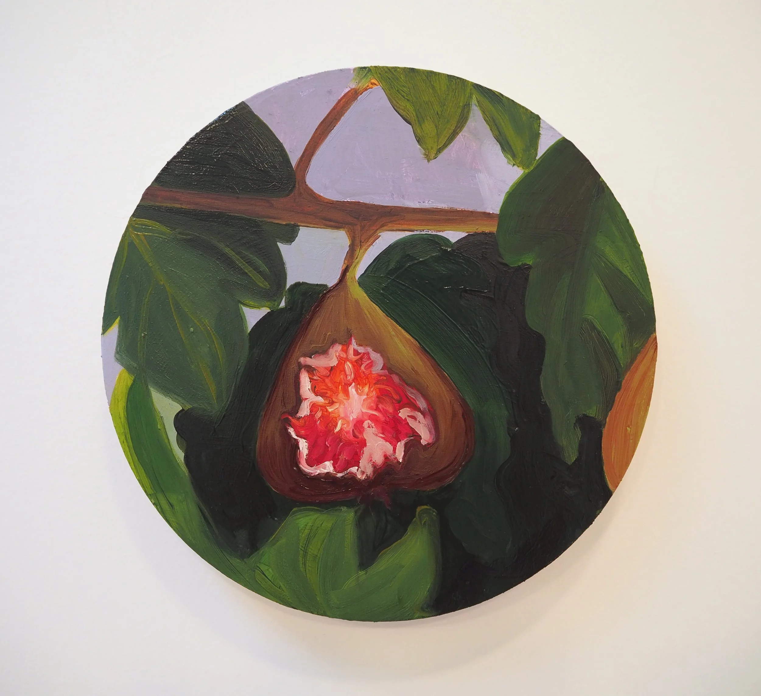 FRC19_ClaireElliott_Half Eaten Fig_Oil on Wood Panel_8x8_2024_200.jpg