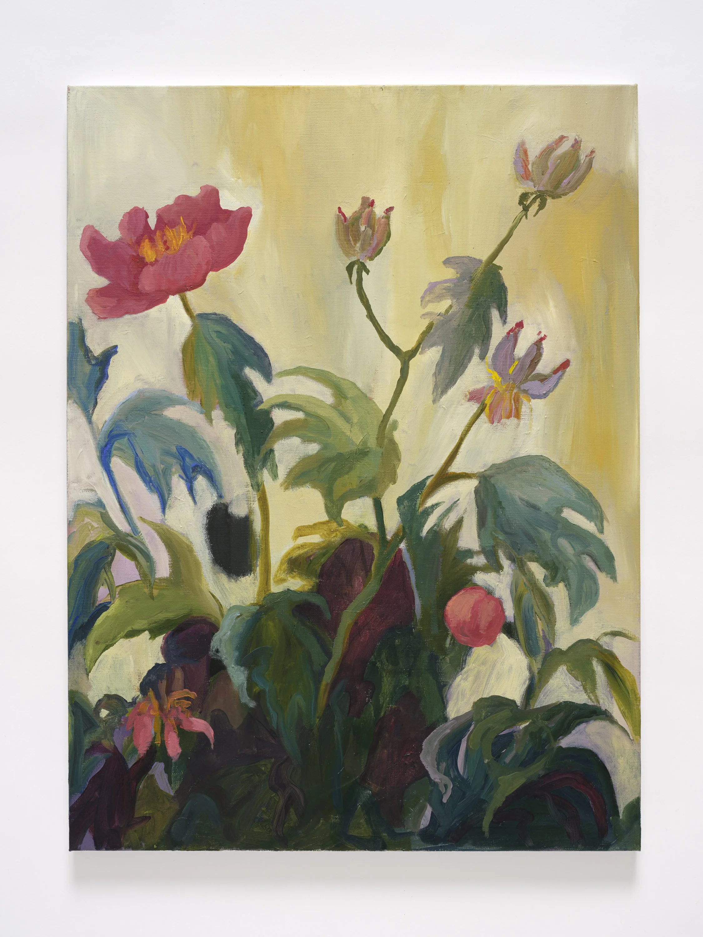 Reaching Peonies (Web).jpg