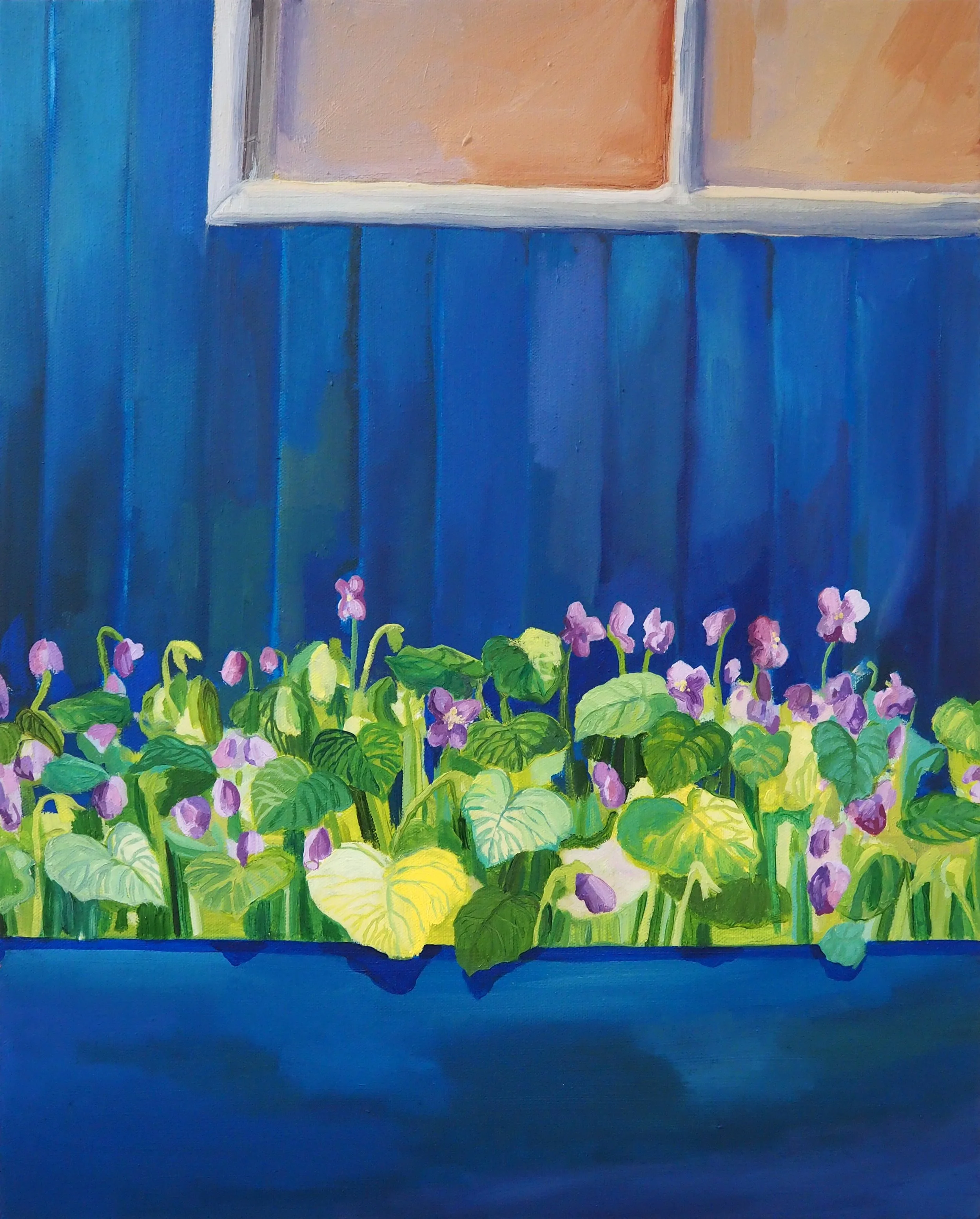 violas in the mews.jpg