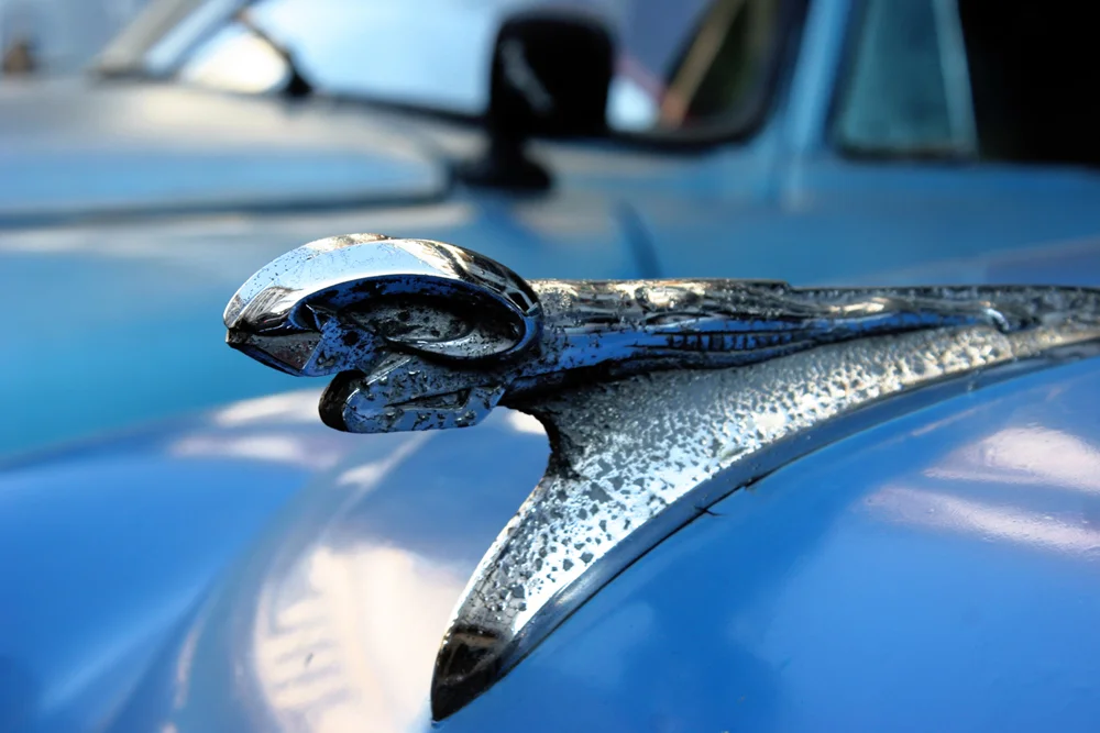 American Classic 5 Havana.jpg