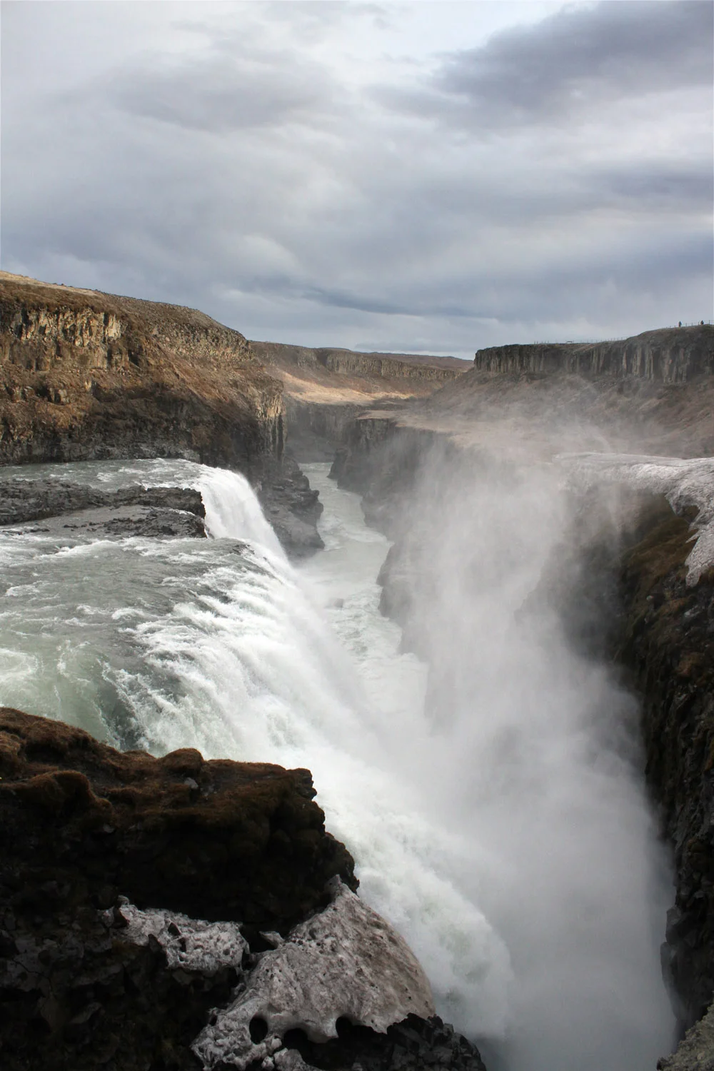 IMG_7213_BM.jpg