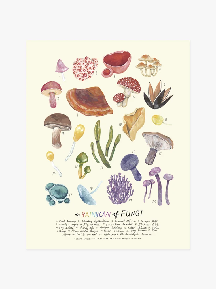 Rainbow of Fungi print