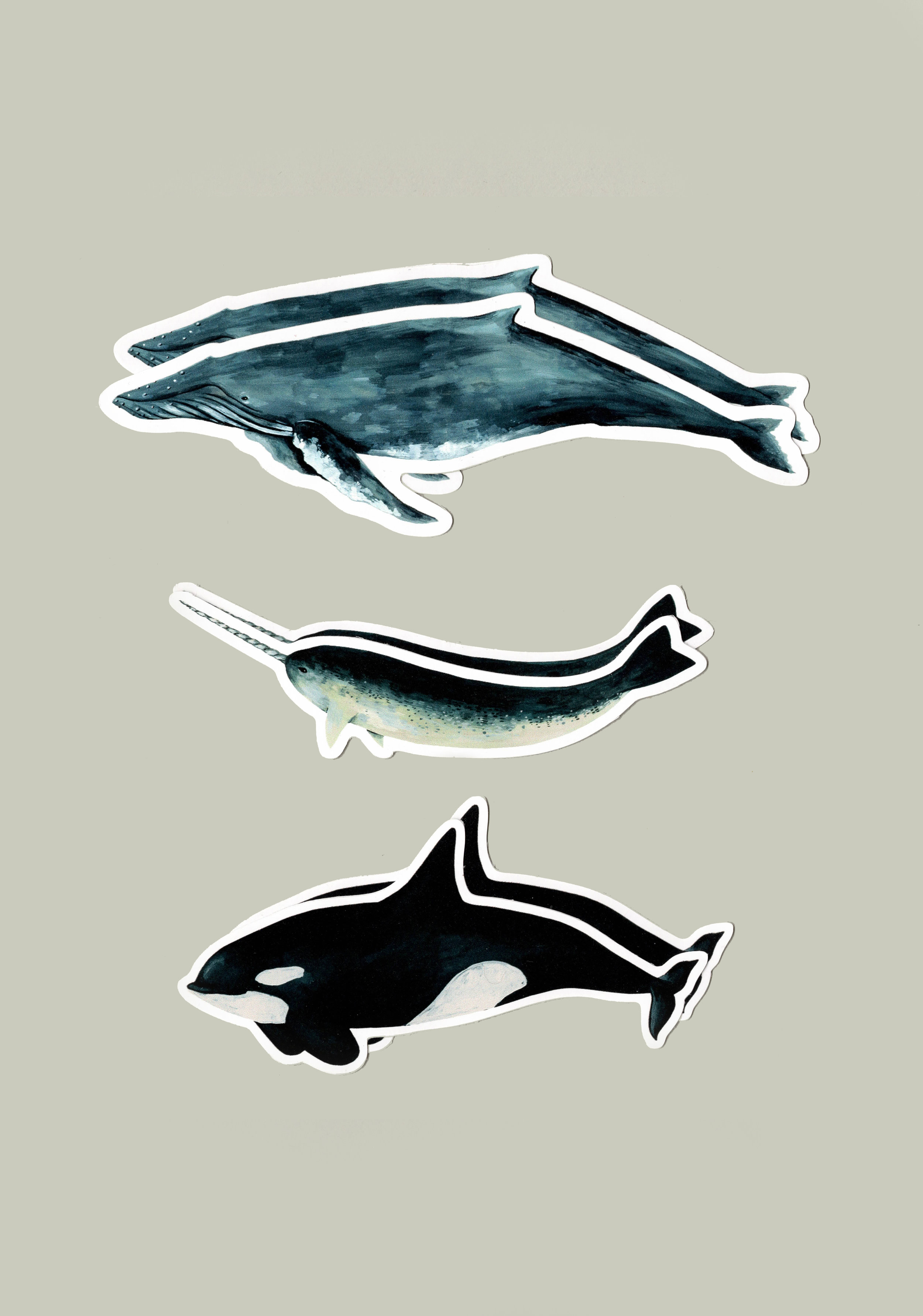 Cetacea stickers