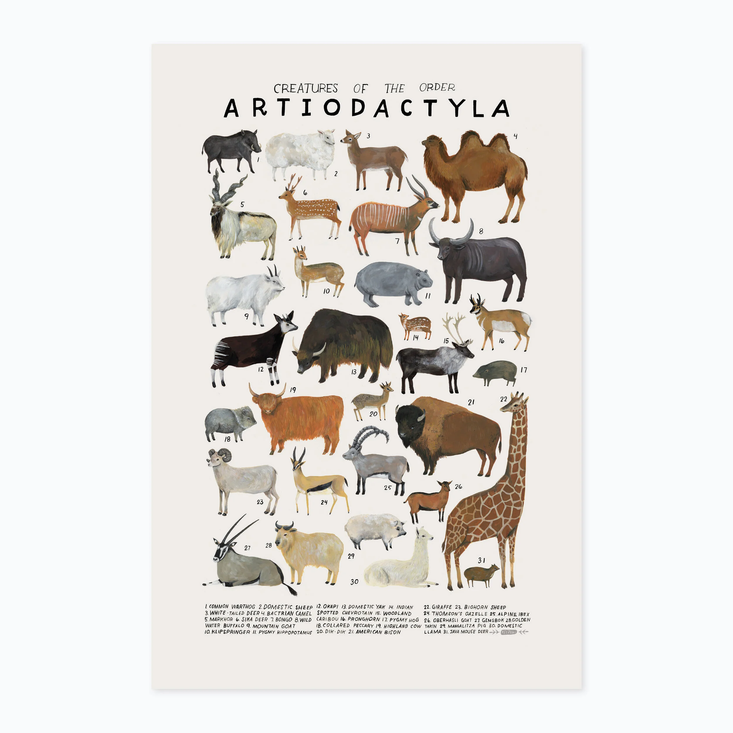 Artiodactyla print