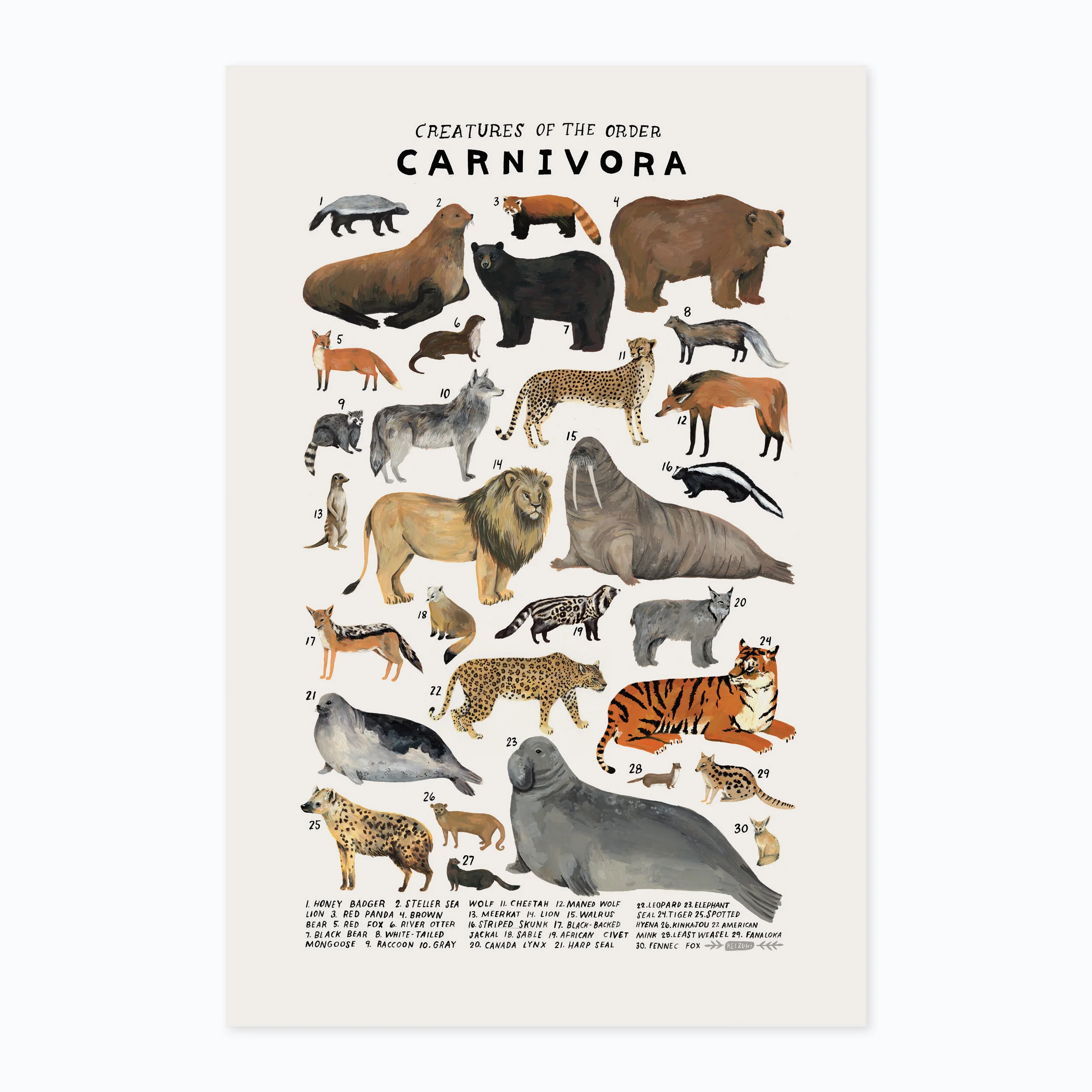 Carnivora print