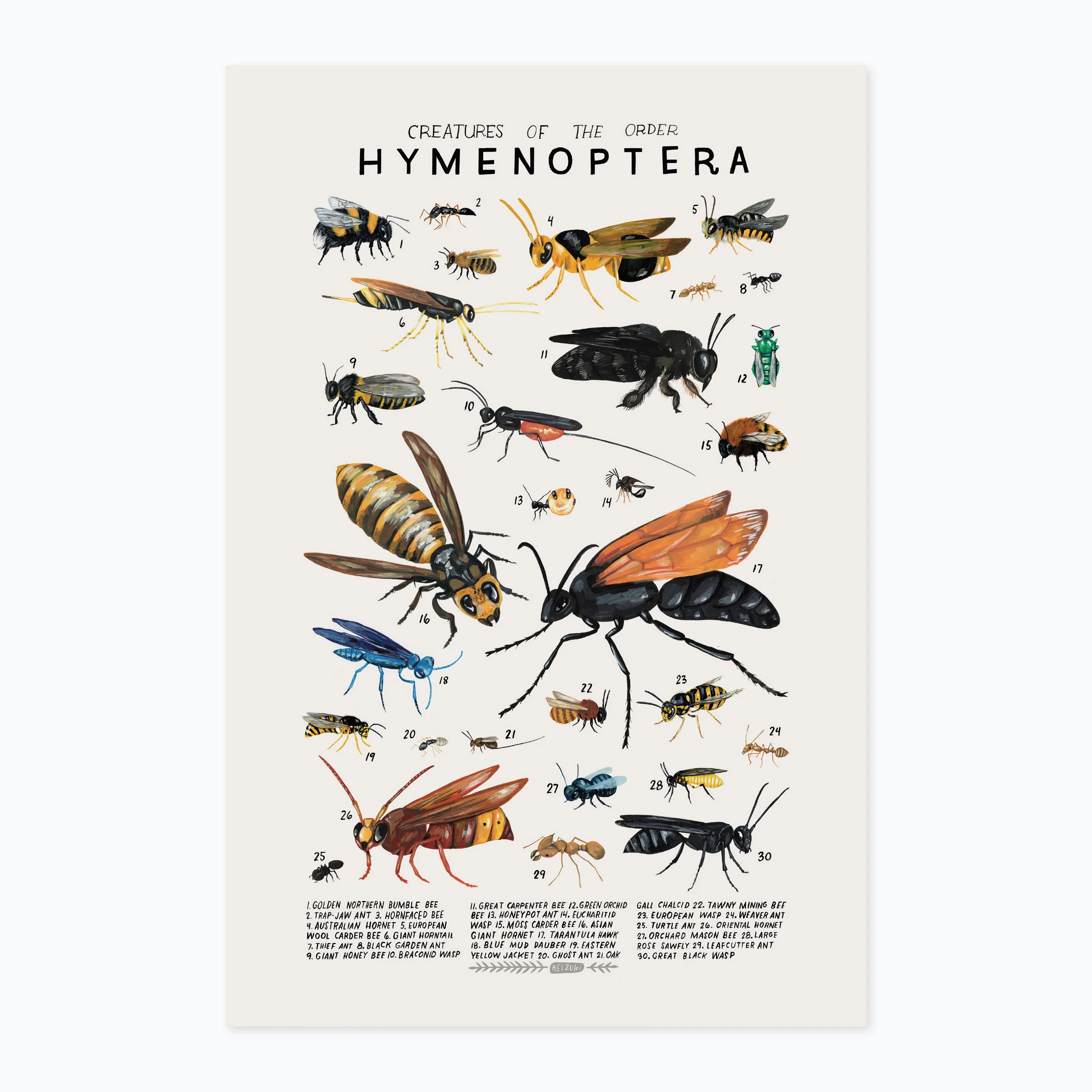 Hymenoptera print