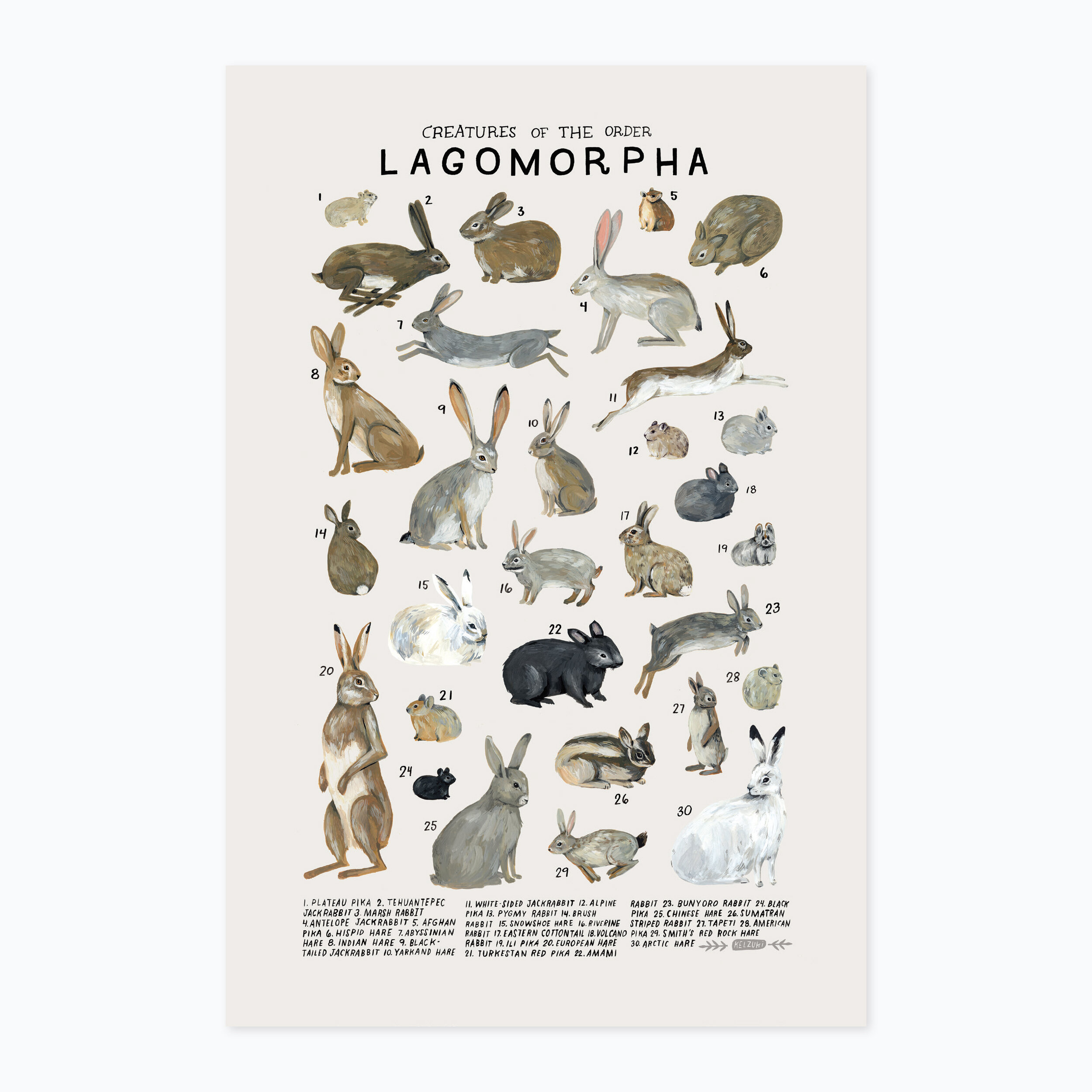 Lagomorpha print