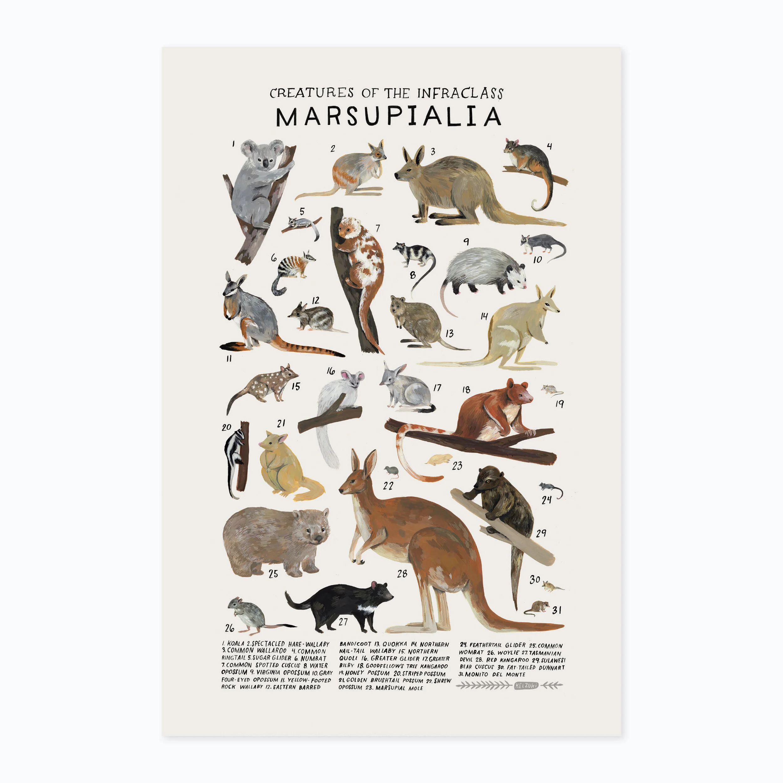 Marsupialia print