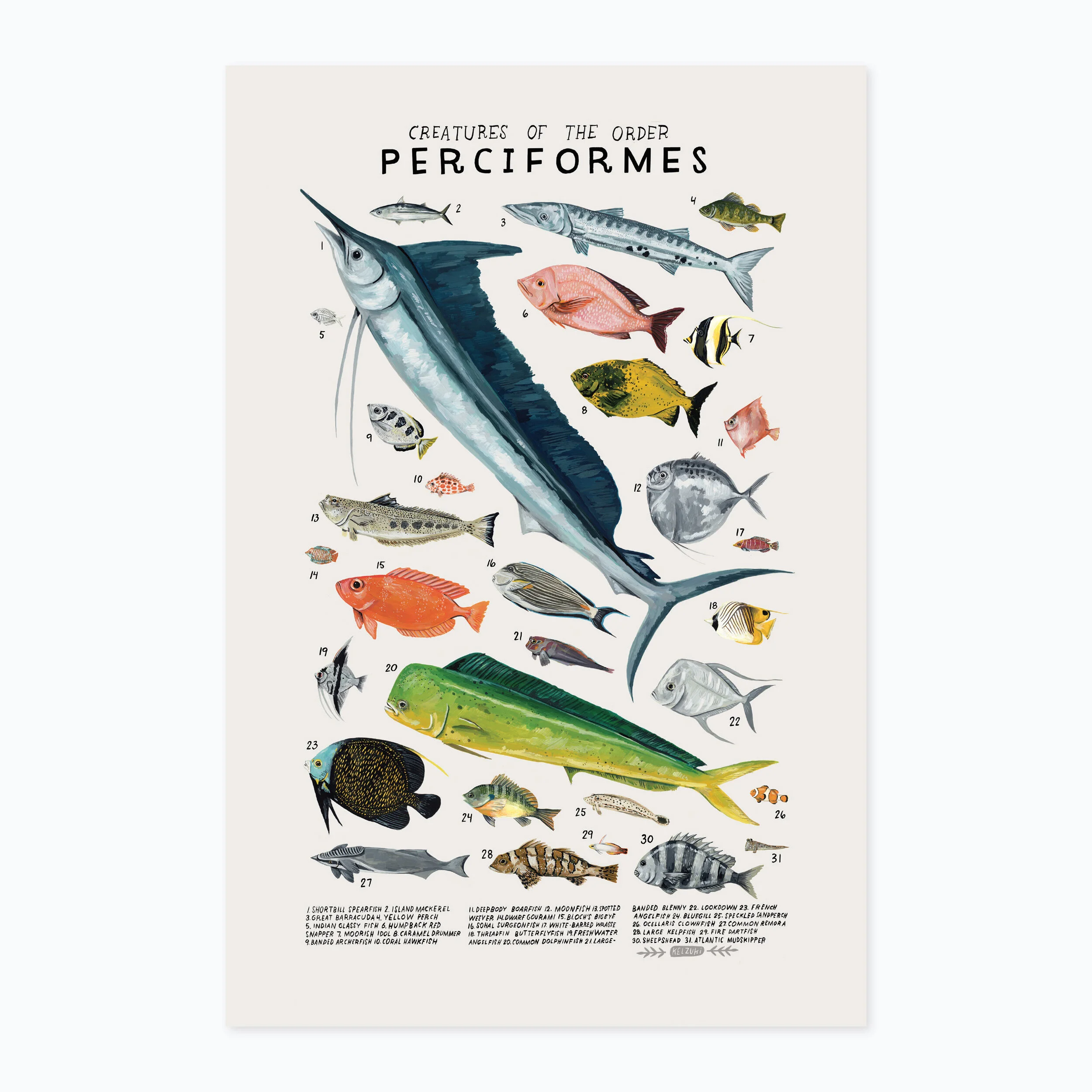 Perciformes print