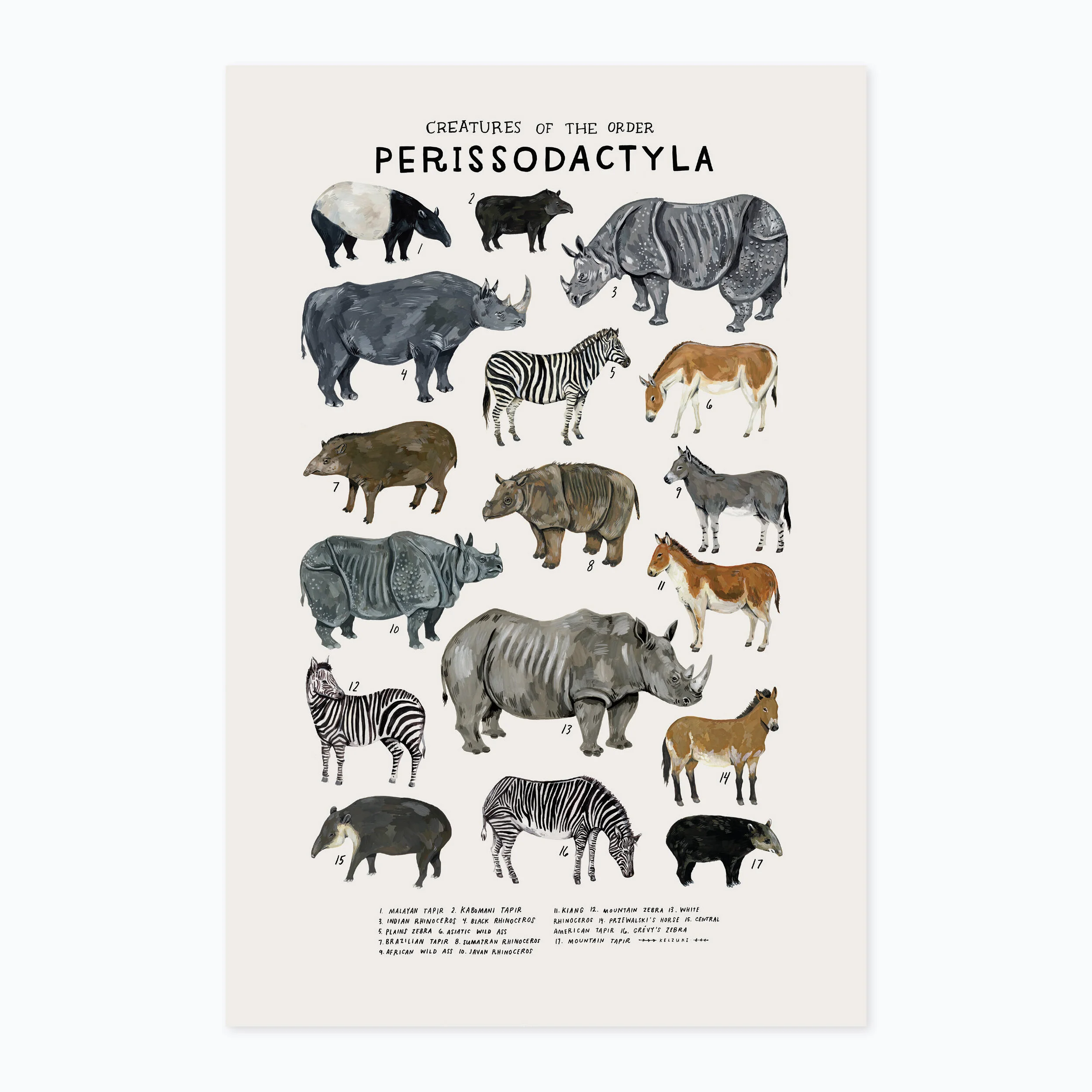 Perissodactyla print