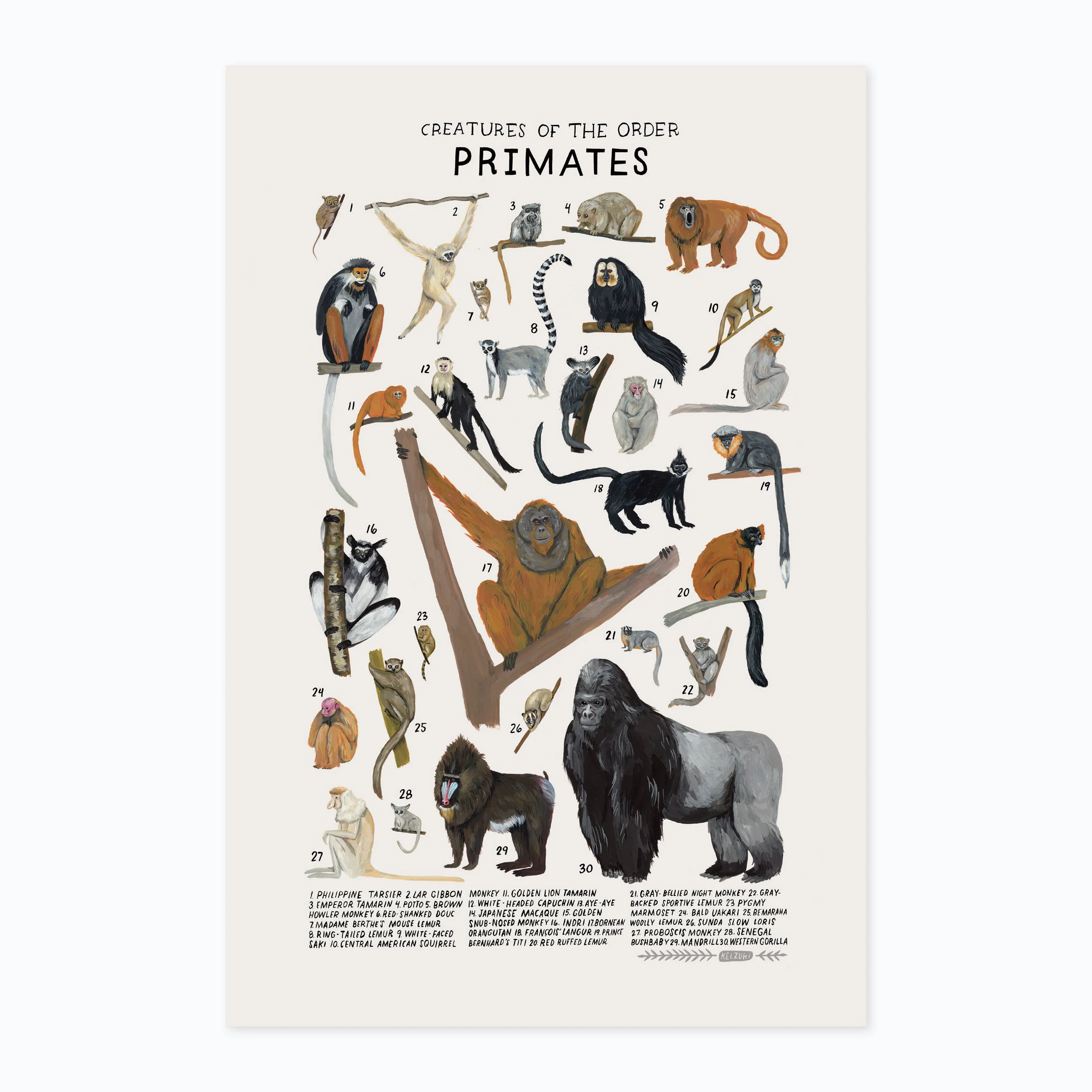 Primates print
