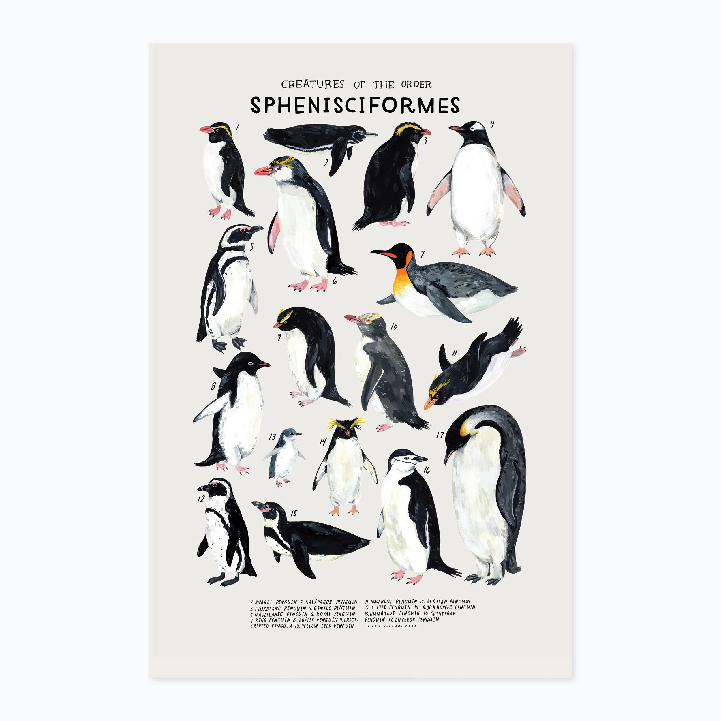 Sphenisciformes print