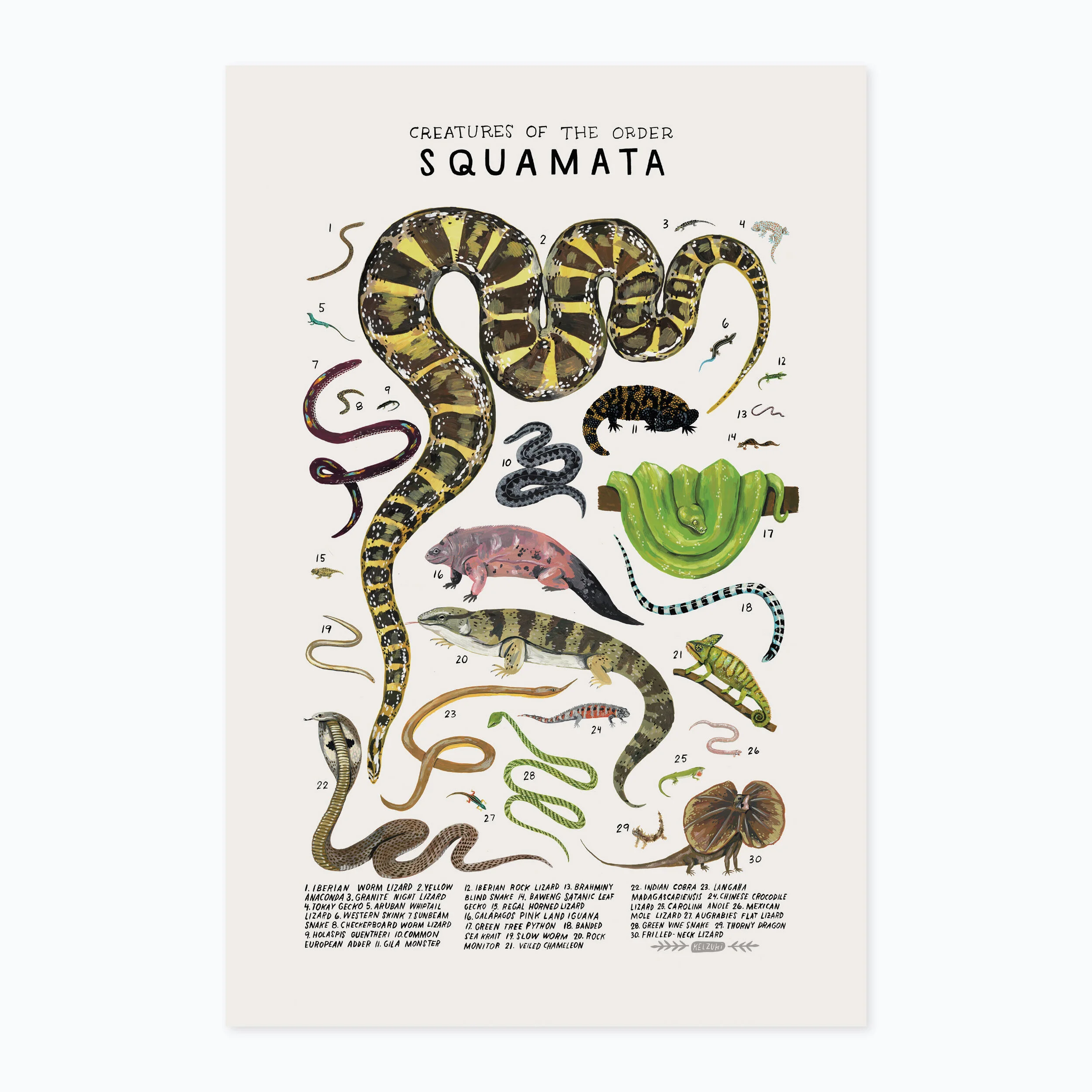 Squamata print