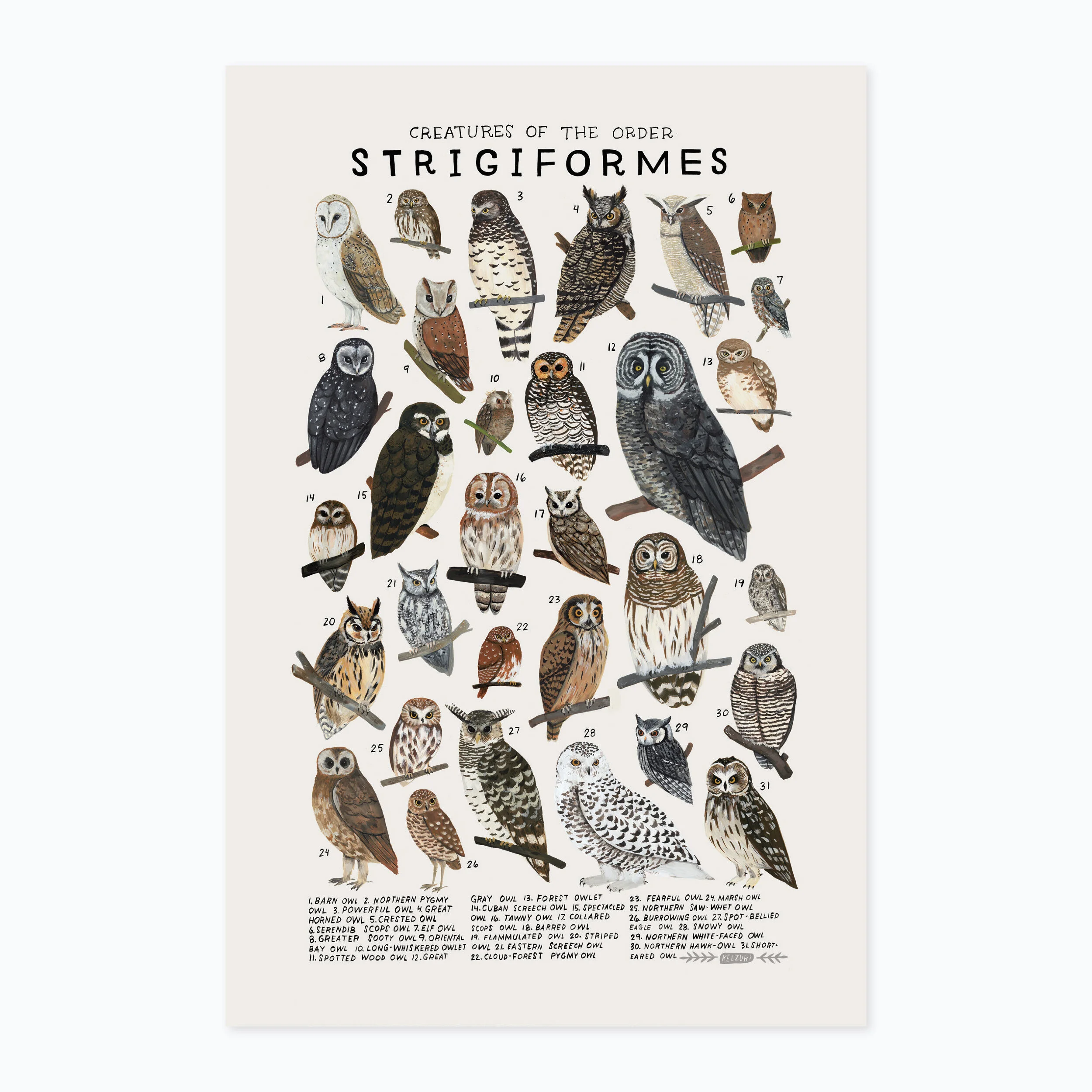 Strigiformes print
