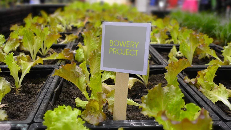  Image credit: C.oExist (Fast Company). Read the article   here.   