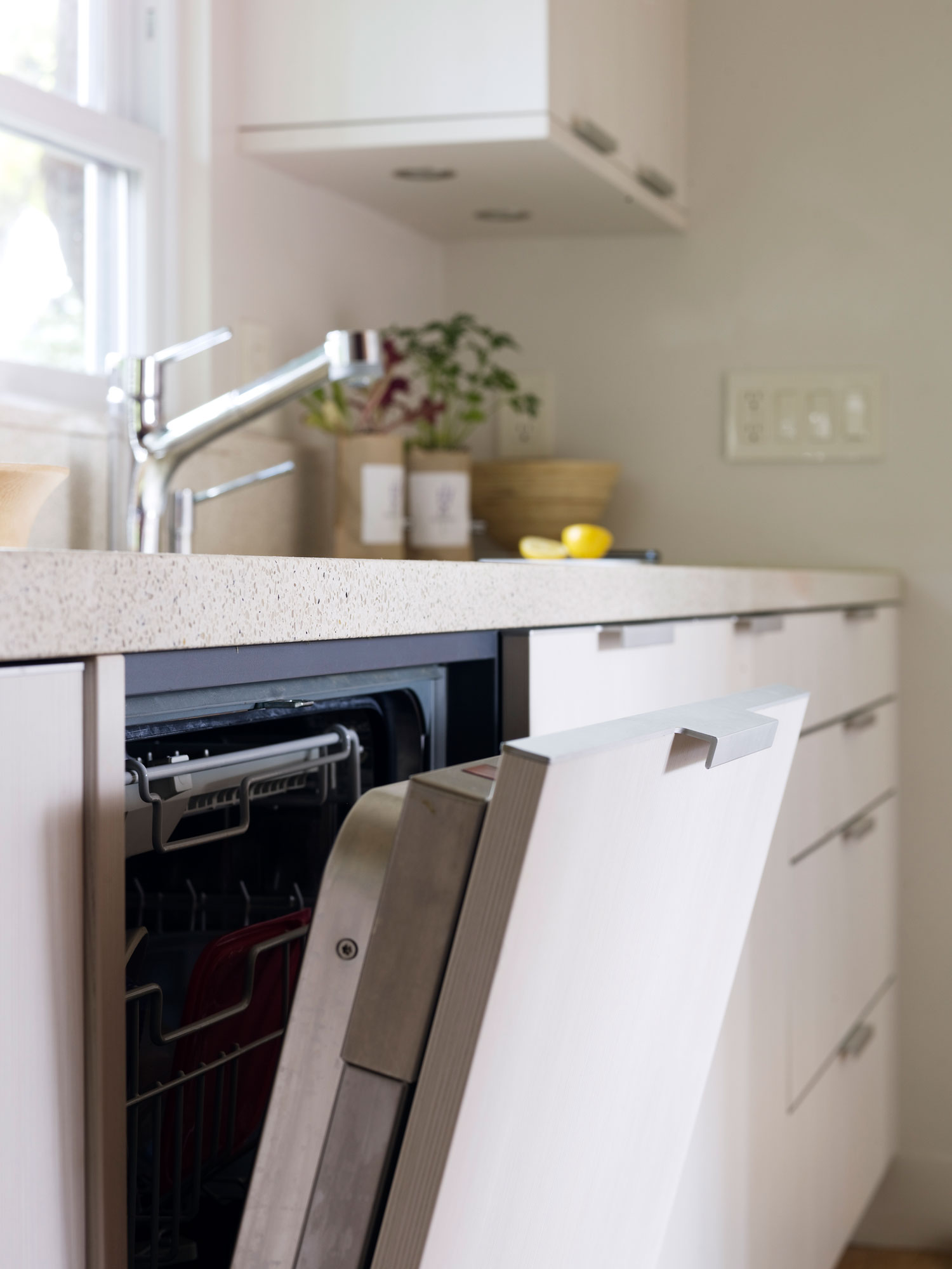 Kitchen Dish Washer - Napa Sonoma County