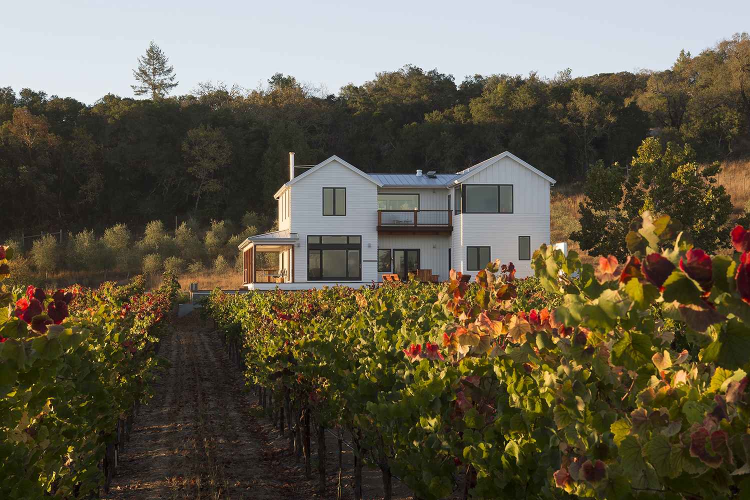 Vineyard Farmhouse Photo - Napa Sonoma County
