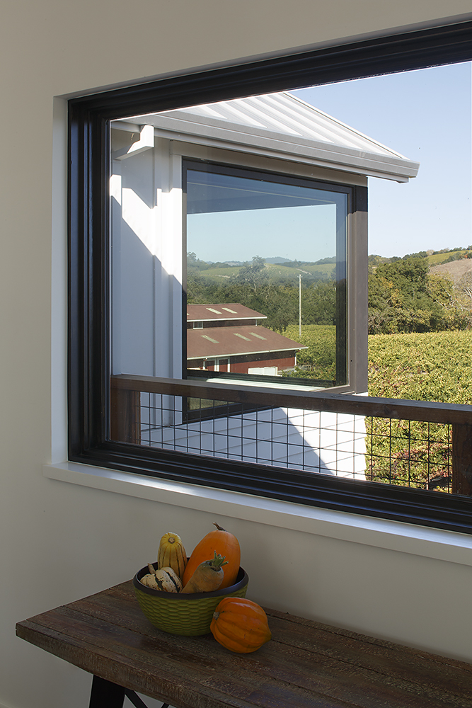 Vineyard Farmhouse Large Window - Napa Sonoma County