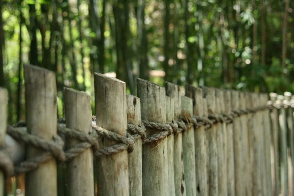 BambooFence.jpg