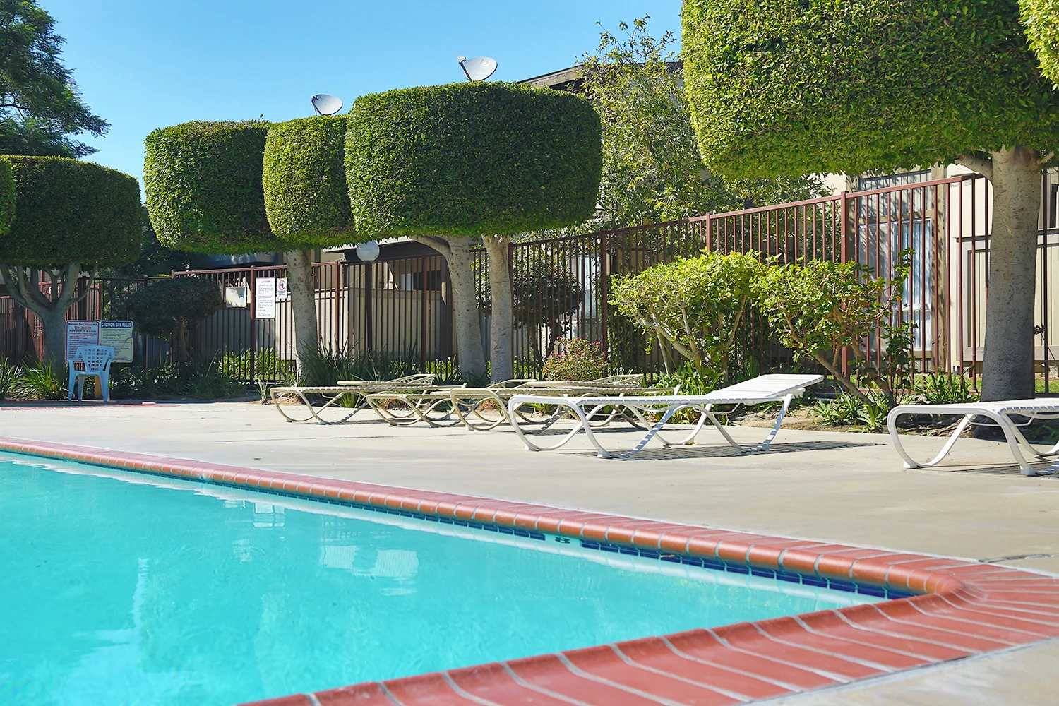 Pool2 (1).jpg