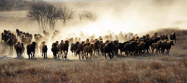 Shanghai-born New York photographer, graphic designer, print designer, and advertising executive Jack Lee took this photo "Full Steam Ahead" on an Inner Mongolian prairie in Chifeng, where Qing emperors autumnally enjoyed horseback riding. 