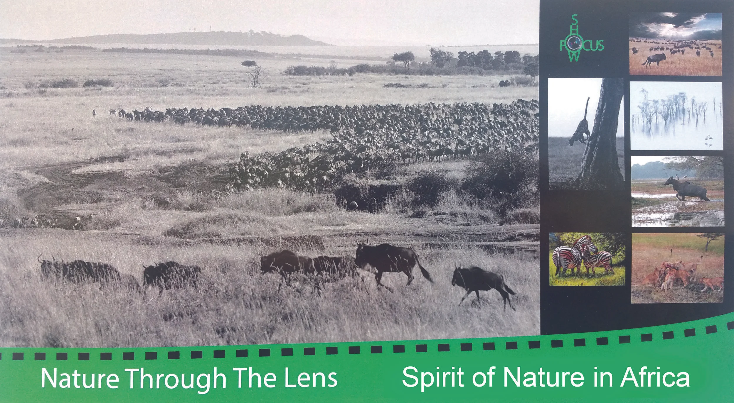 Postcard_Spirit_of_Nature_in_Africa_front_20180130_OGM.jpg