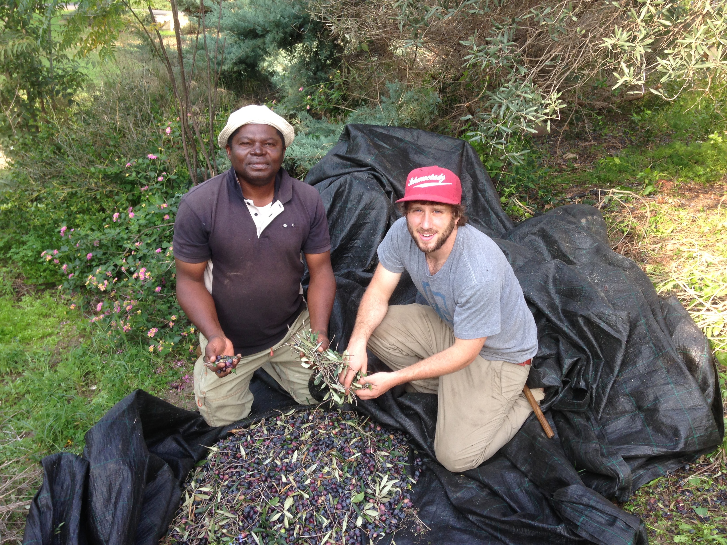  Picking out twigs and leaves with Biyiha. 