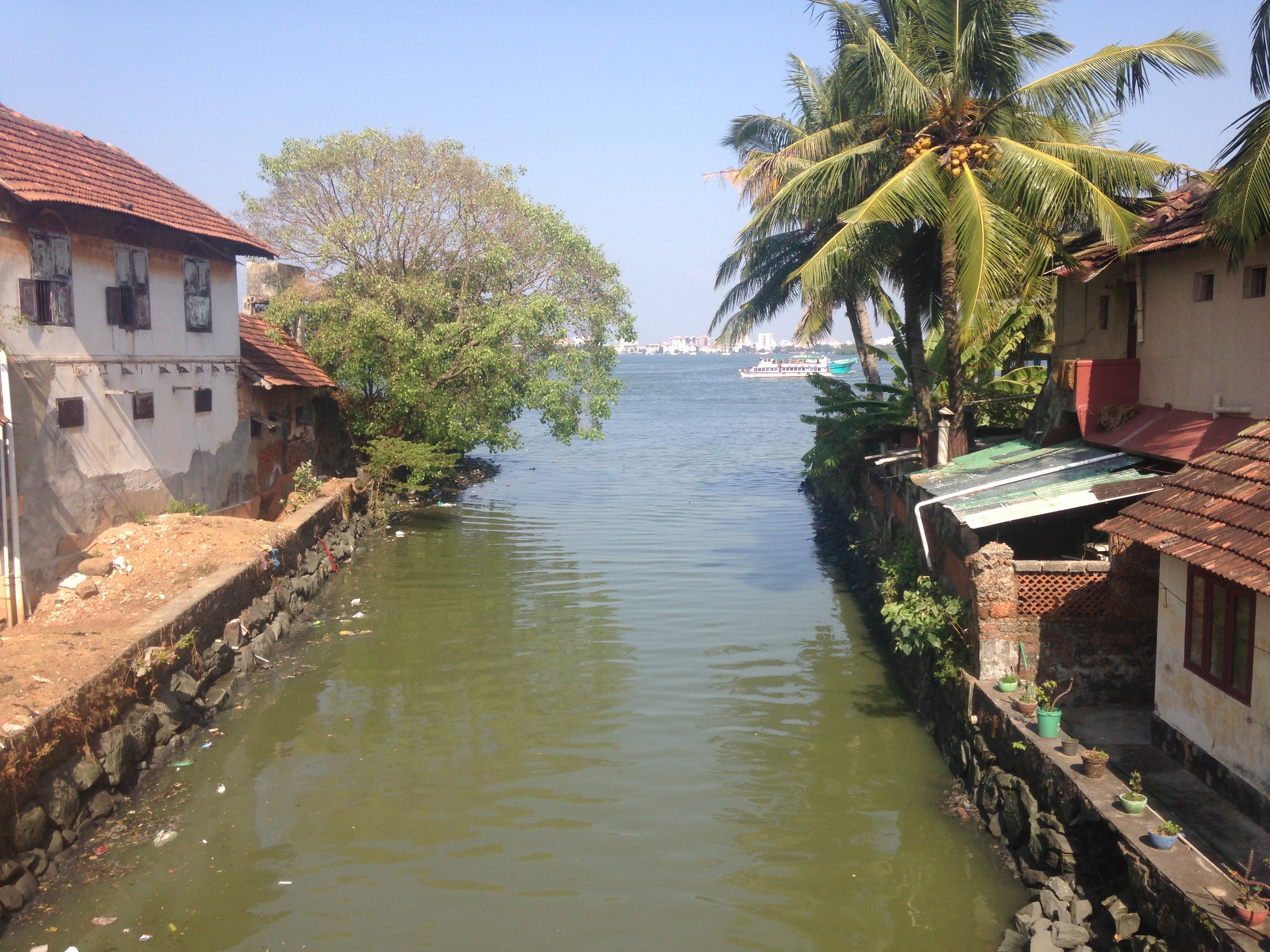  The view from Fort Kochi looking at downtown across the water. 