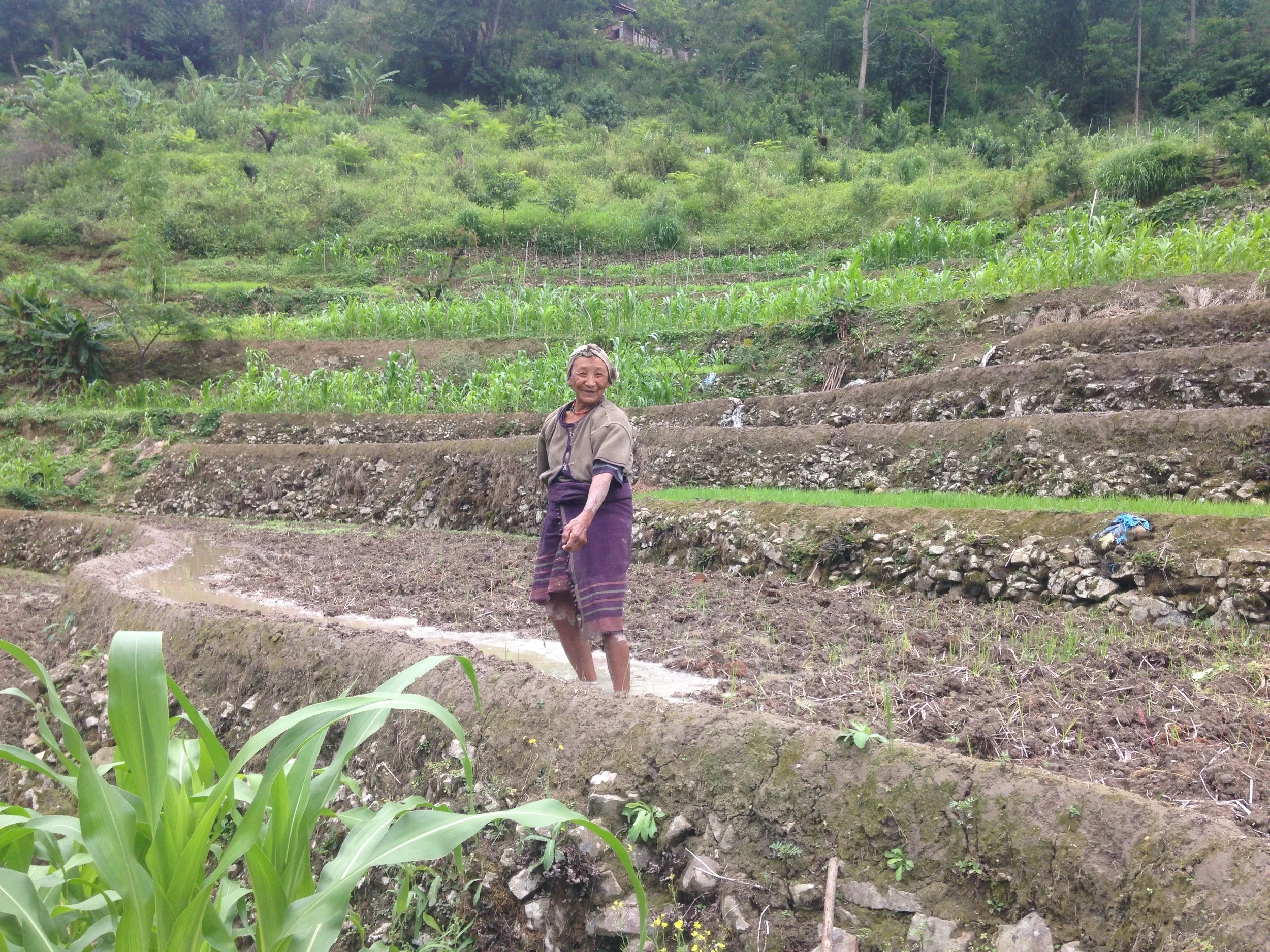 An old woman hoeing her fields alone.