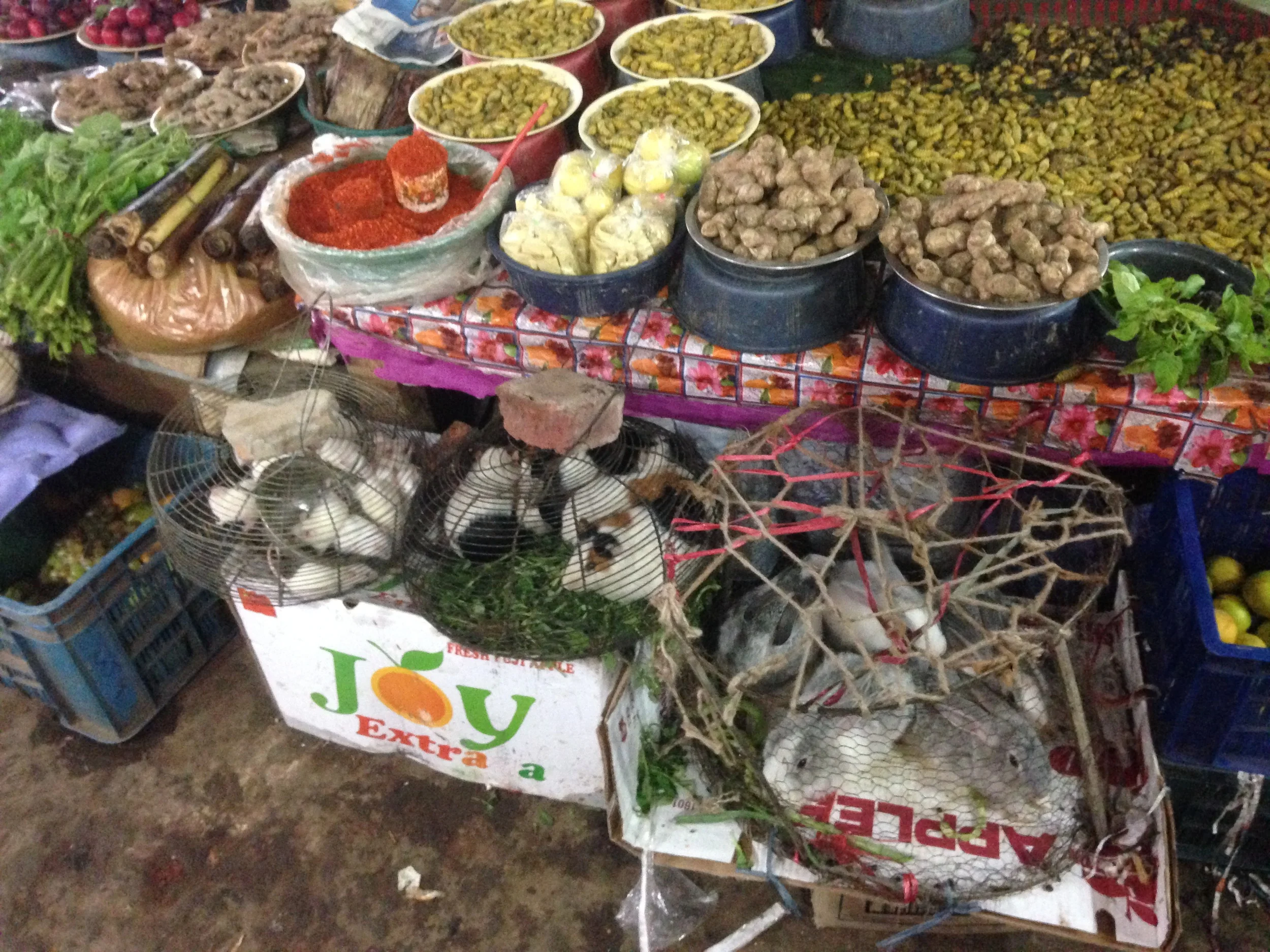 A market stall selling vegetables, silkworms, mice, hamsters, and rabbits (all food).
