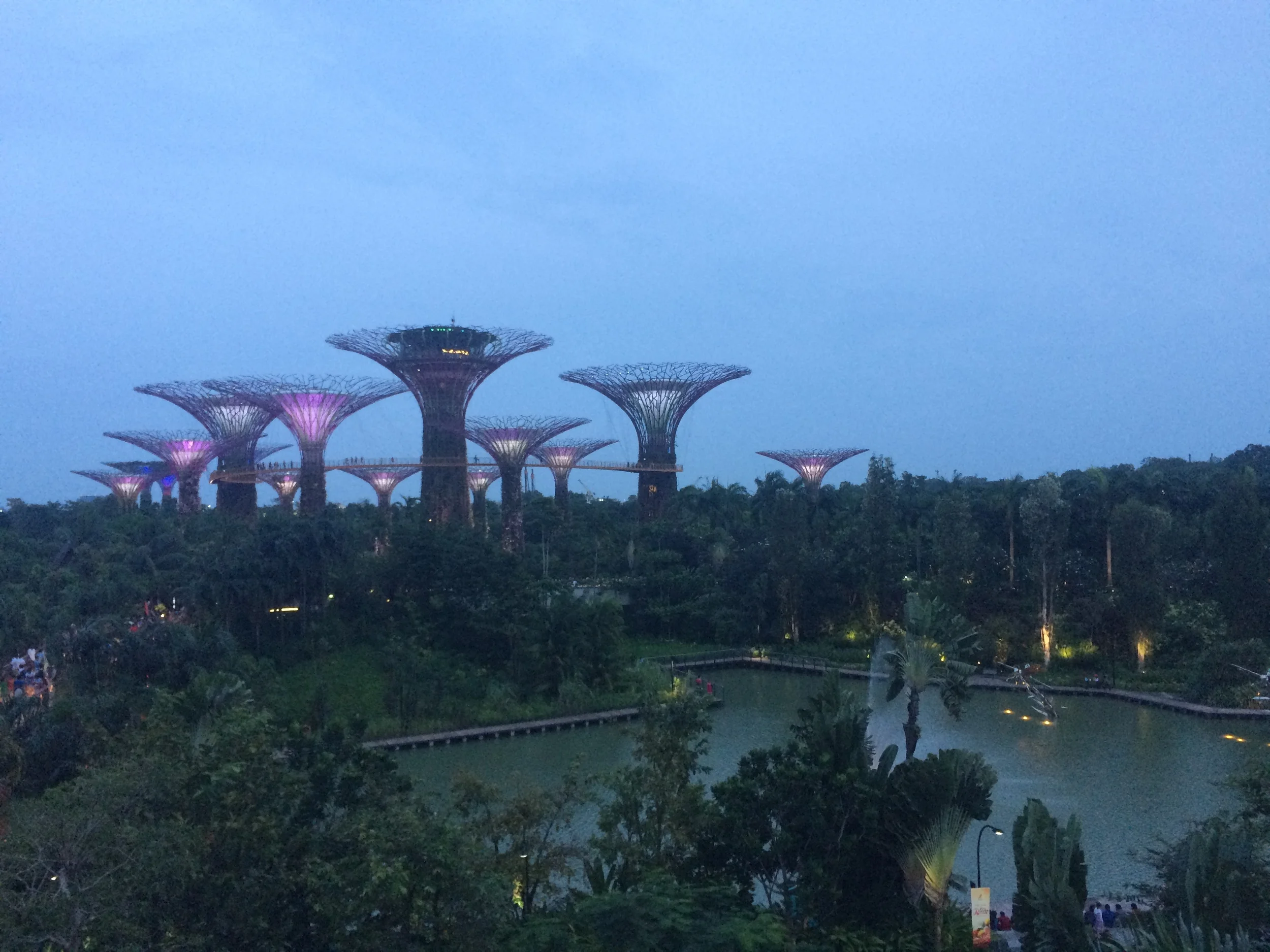 Gardens by the bay