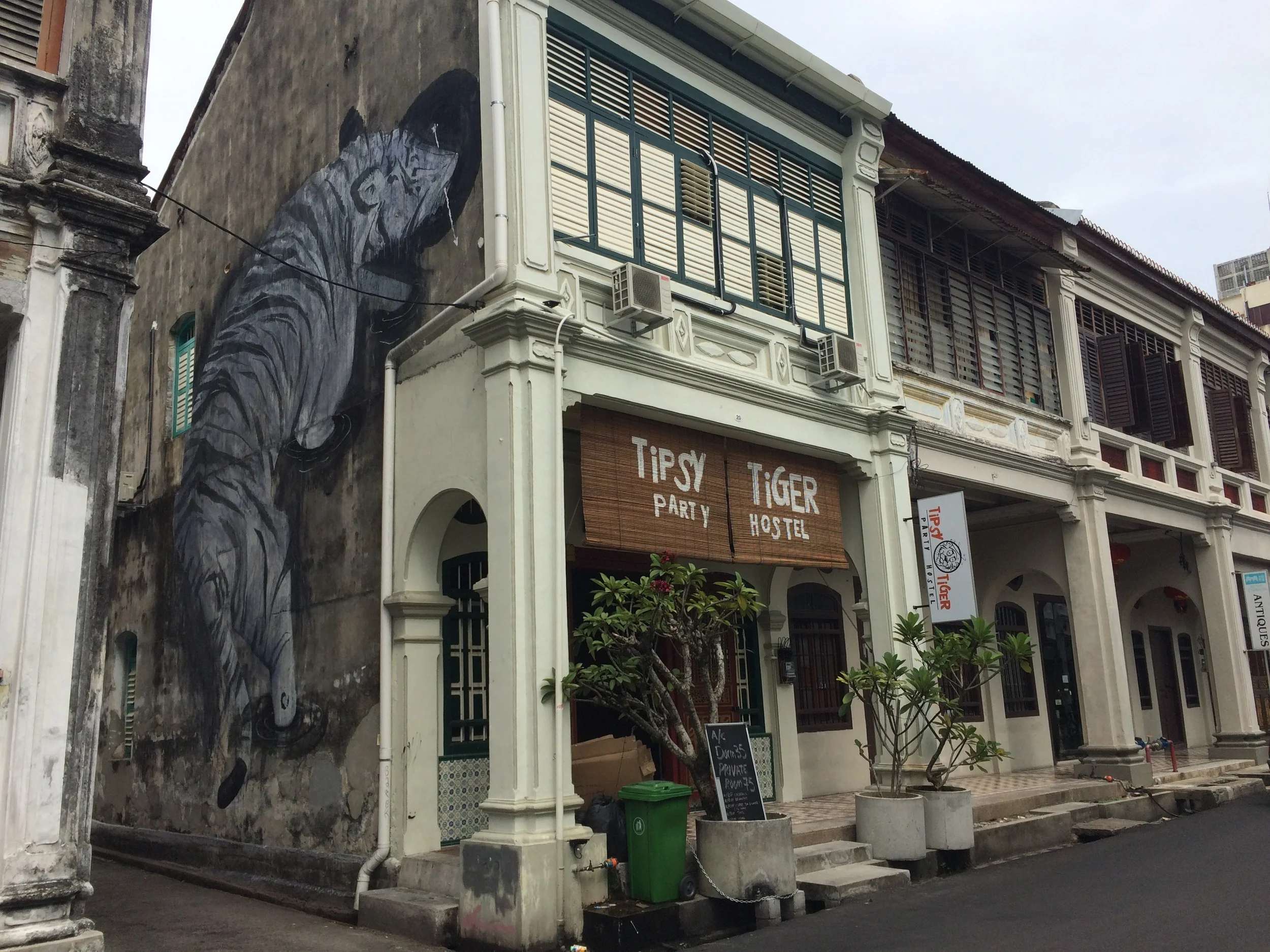 See ya later - Tipsy Tiger Party Hostel