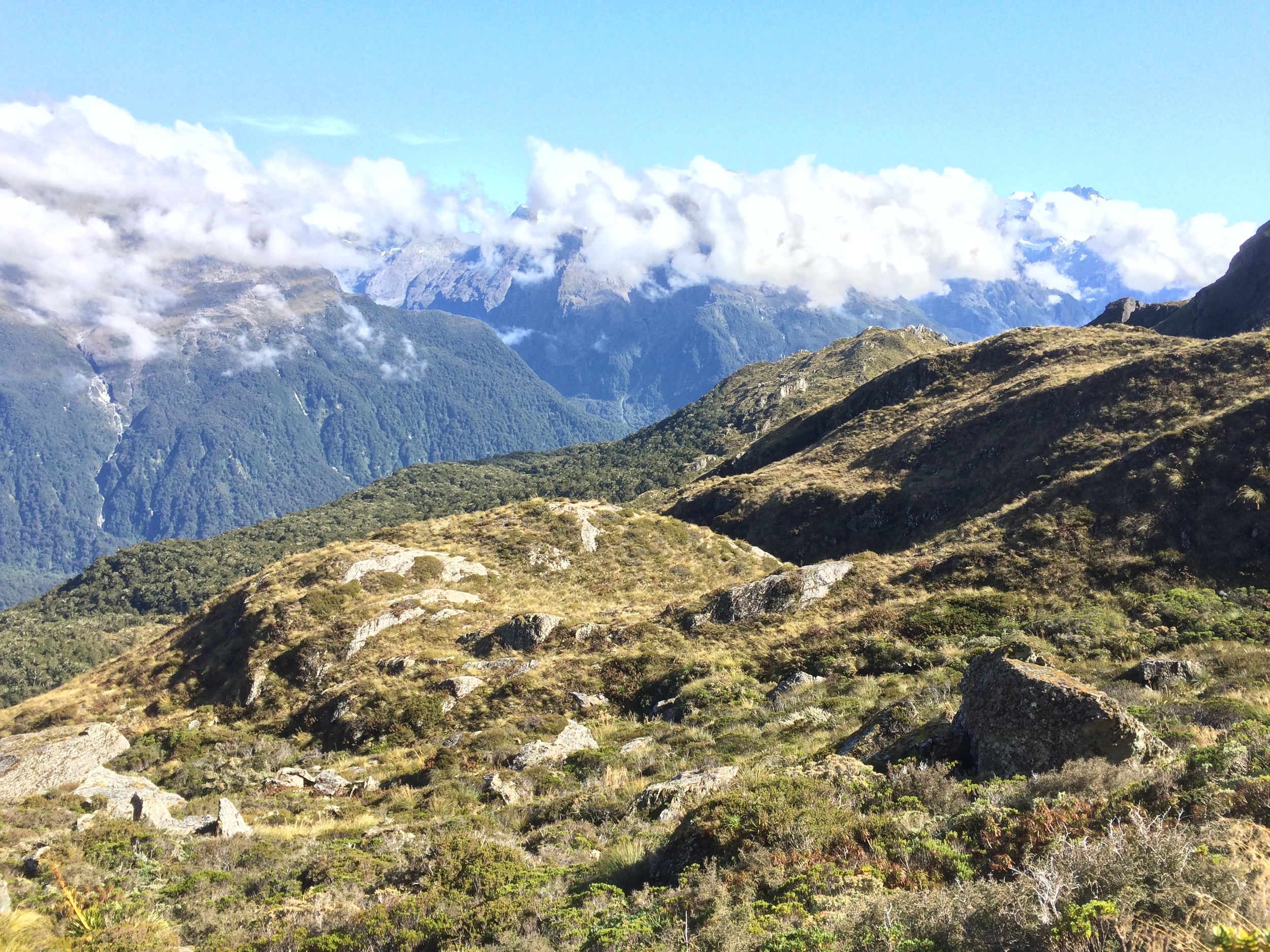 Hiking through the Routeburn. I swear this is where they chase the orcs in LOTR.