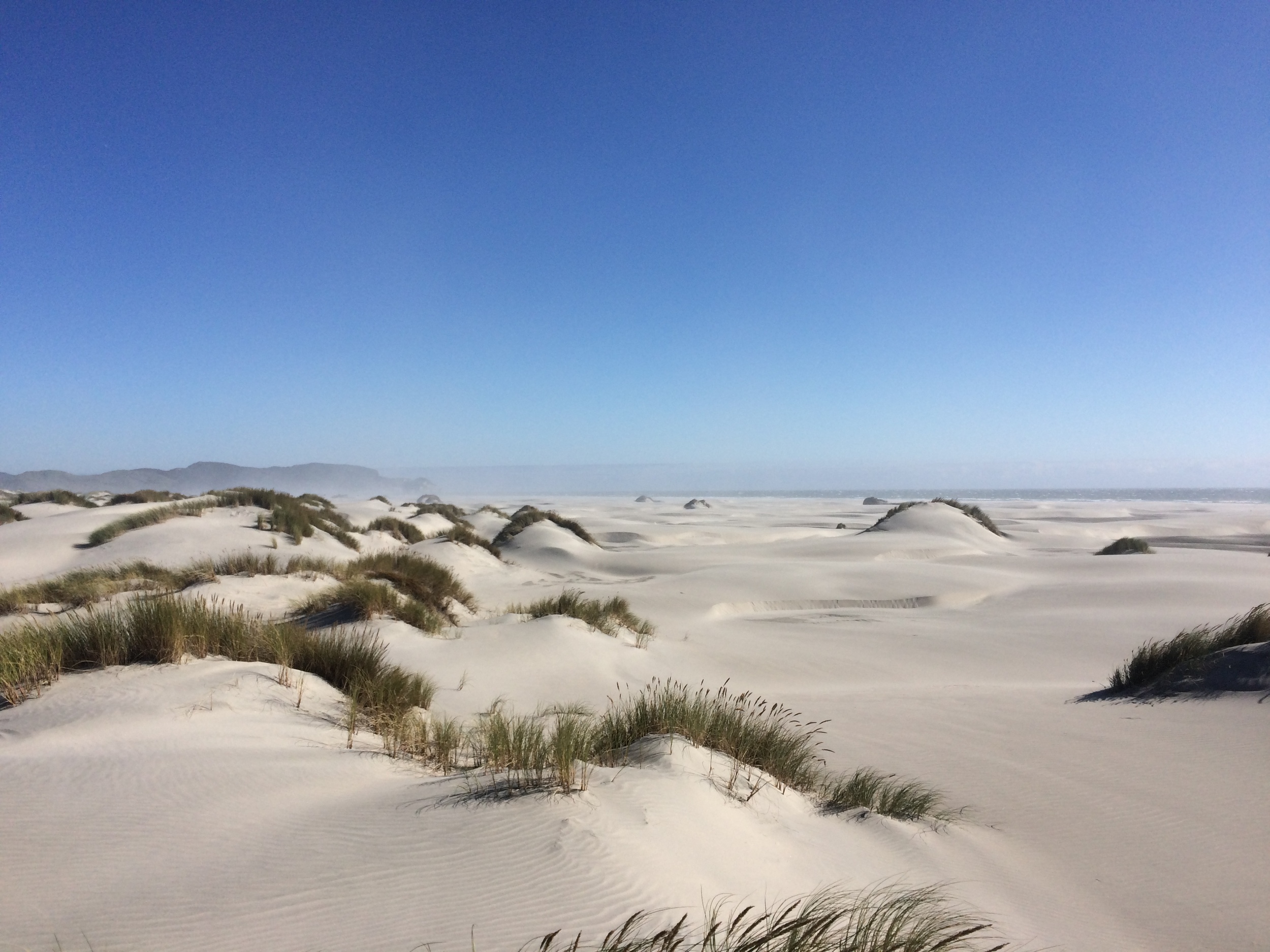 Sand dunes at Cape Farewell