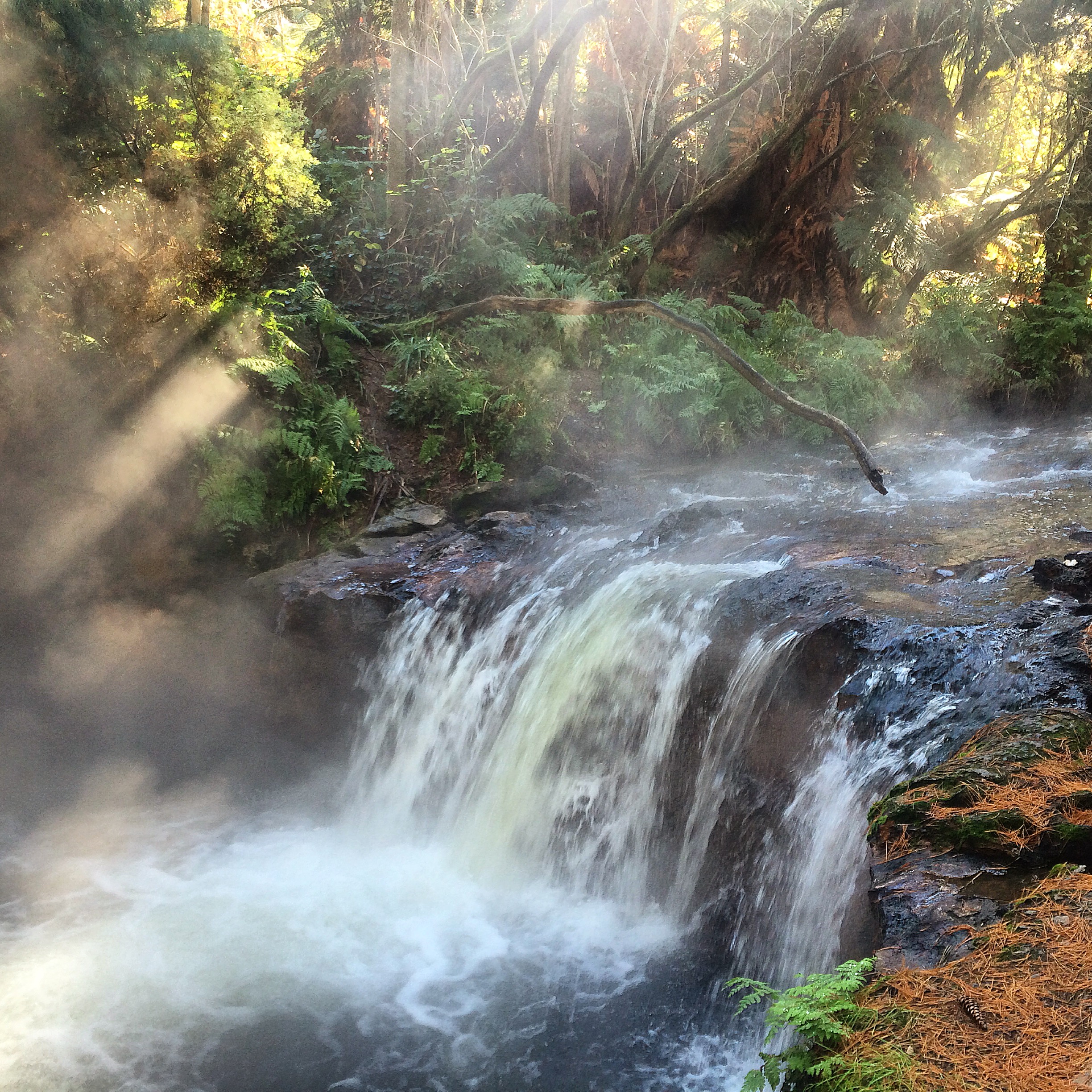 Hot waterfalls and streams at Kerosene Creek