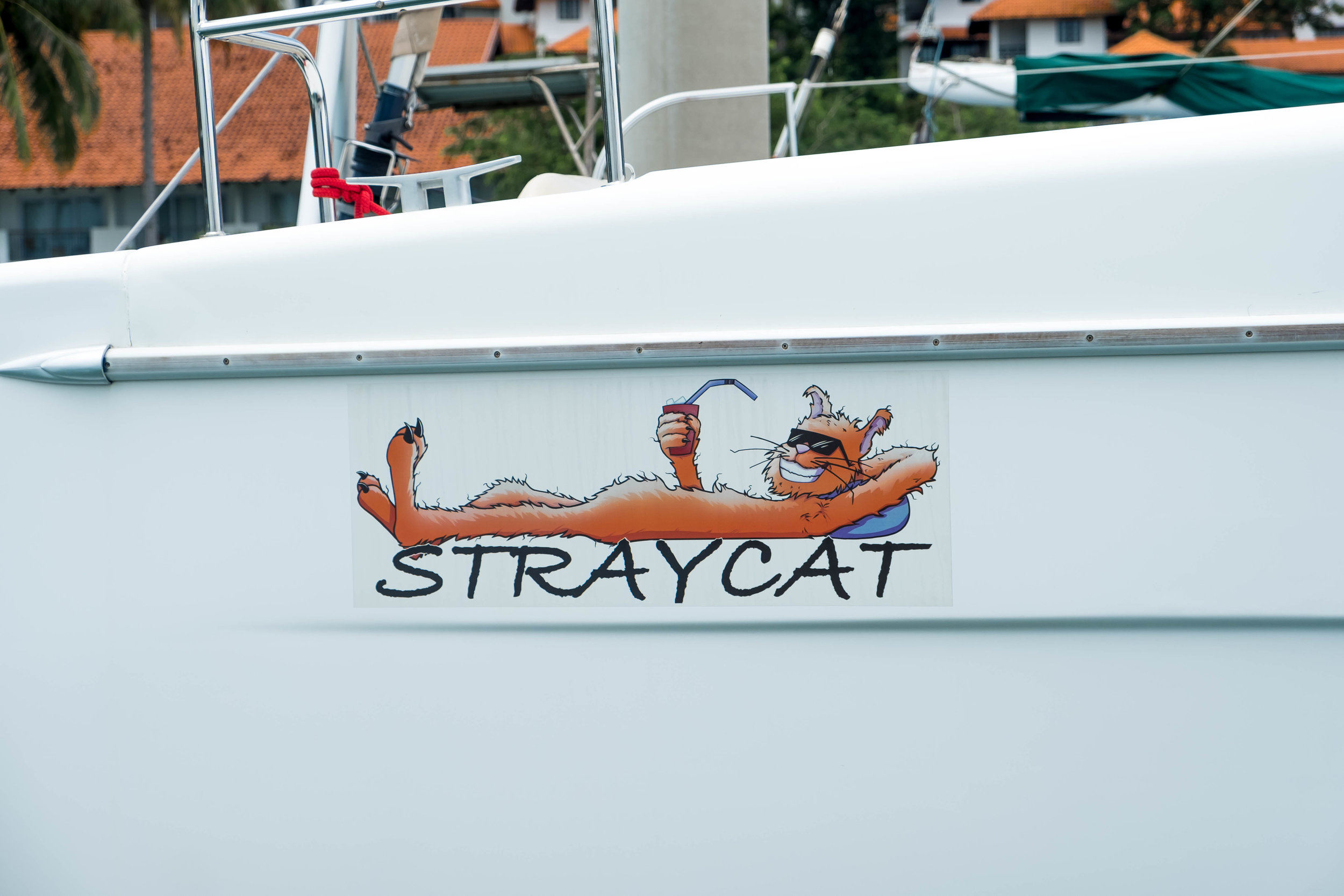  Life is good on Straycat 