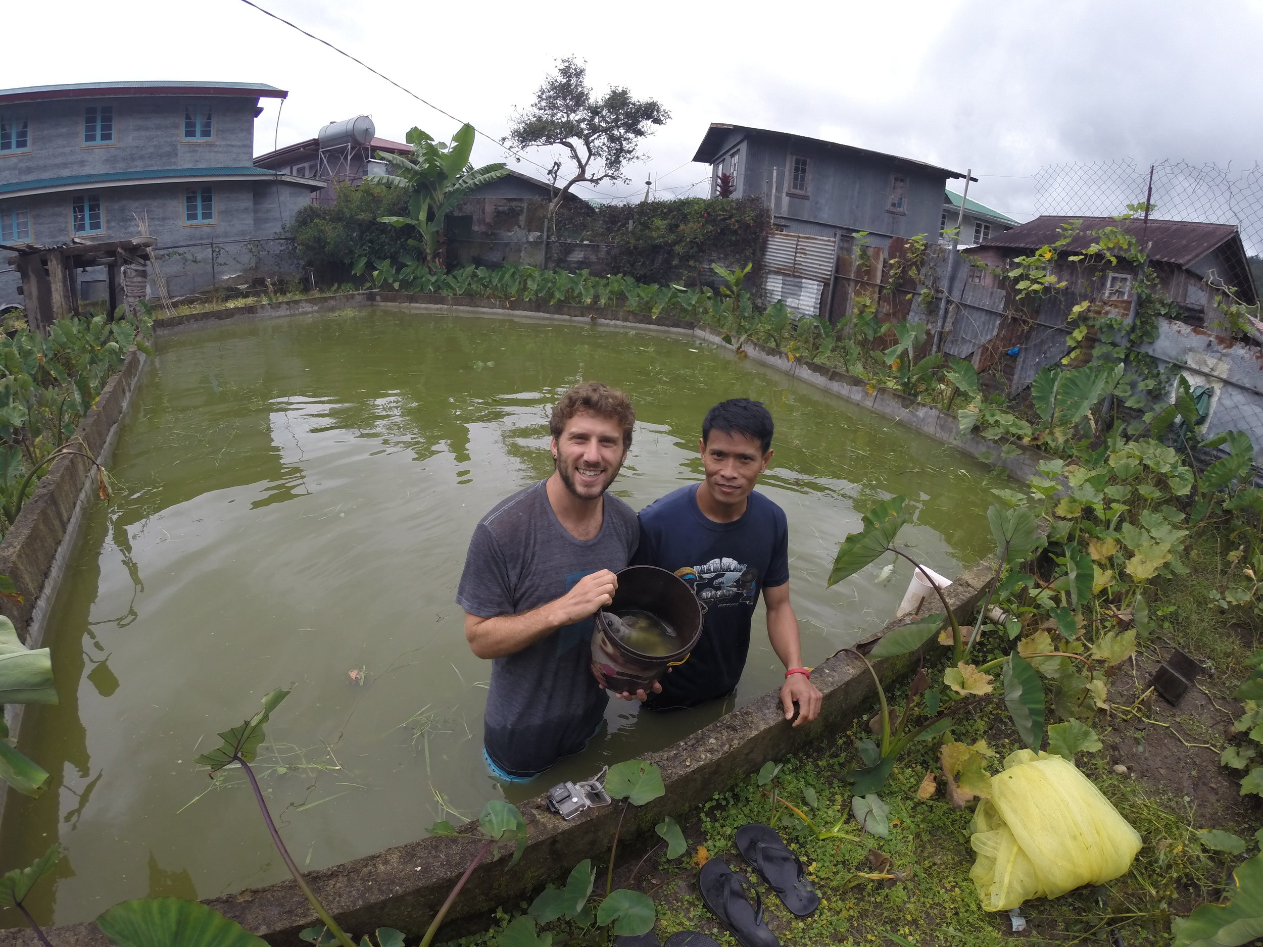 Catching Tilapia with a net with Joseph - had it for lunch later