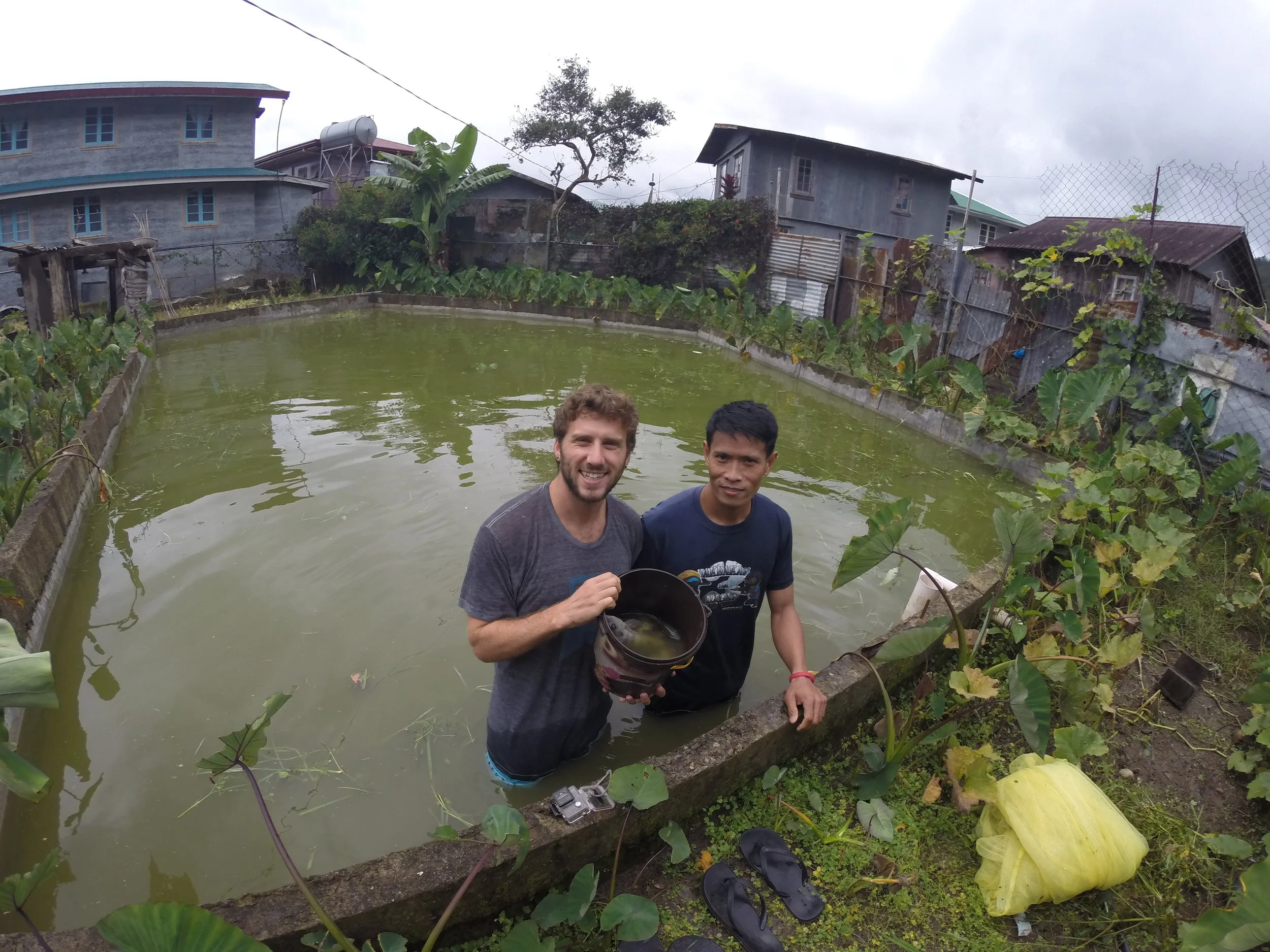Catching Tilapia with a net with Joseph - had it for lunch later